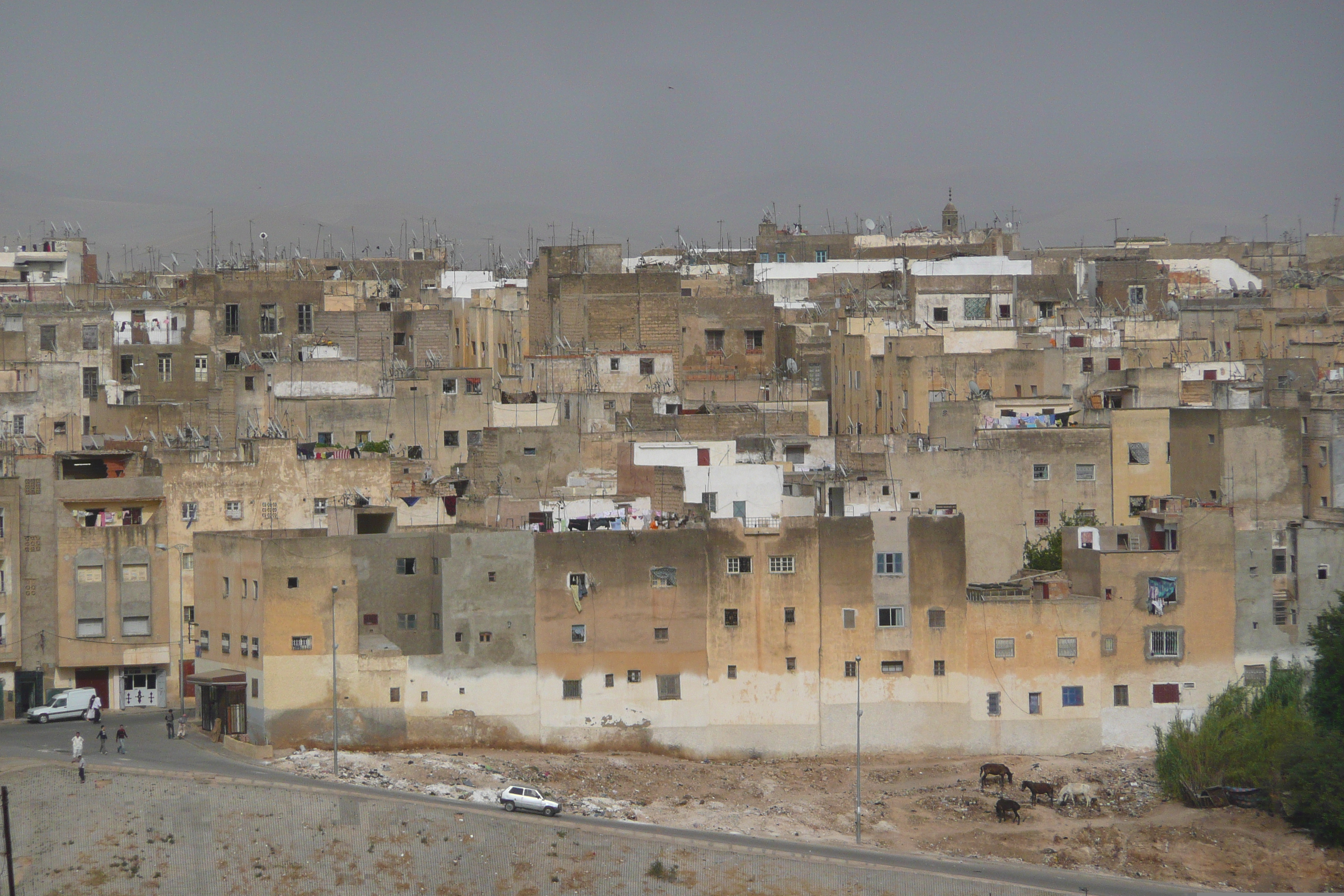 照片 摩洛哥(Morocco) 非斯(Fes) 贾迈宫酒店(Palais Jamai Hotel) 2008-07 1