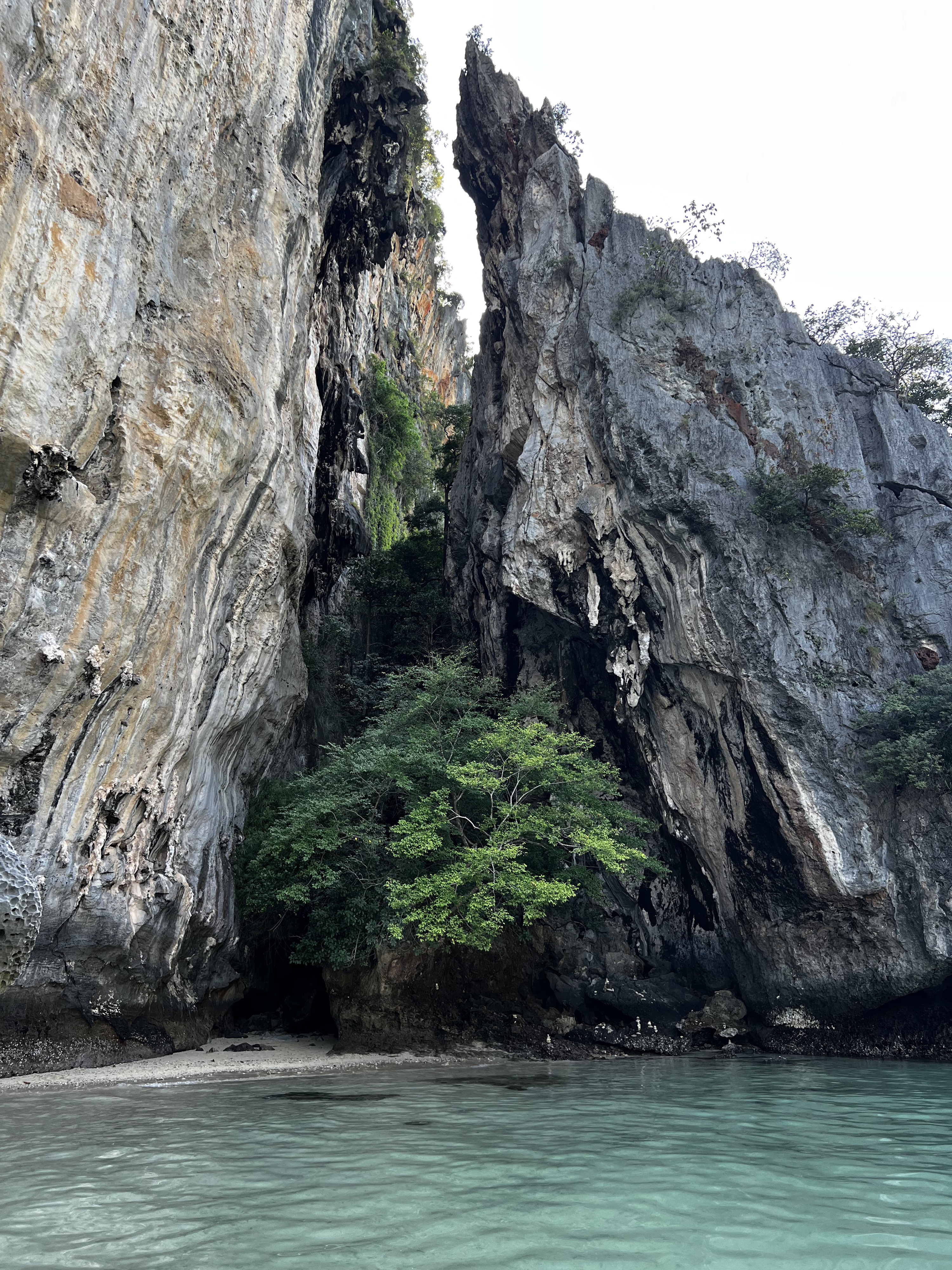 照片 泰国(Thailand) 甲米(Krabi) 2023-01 272