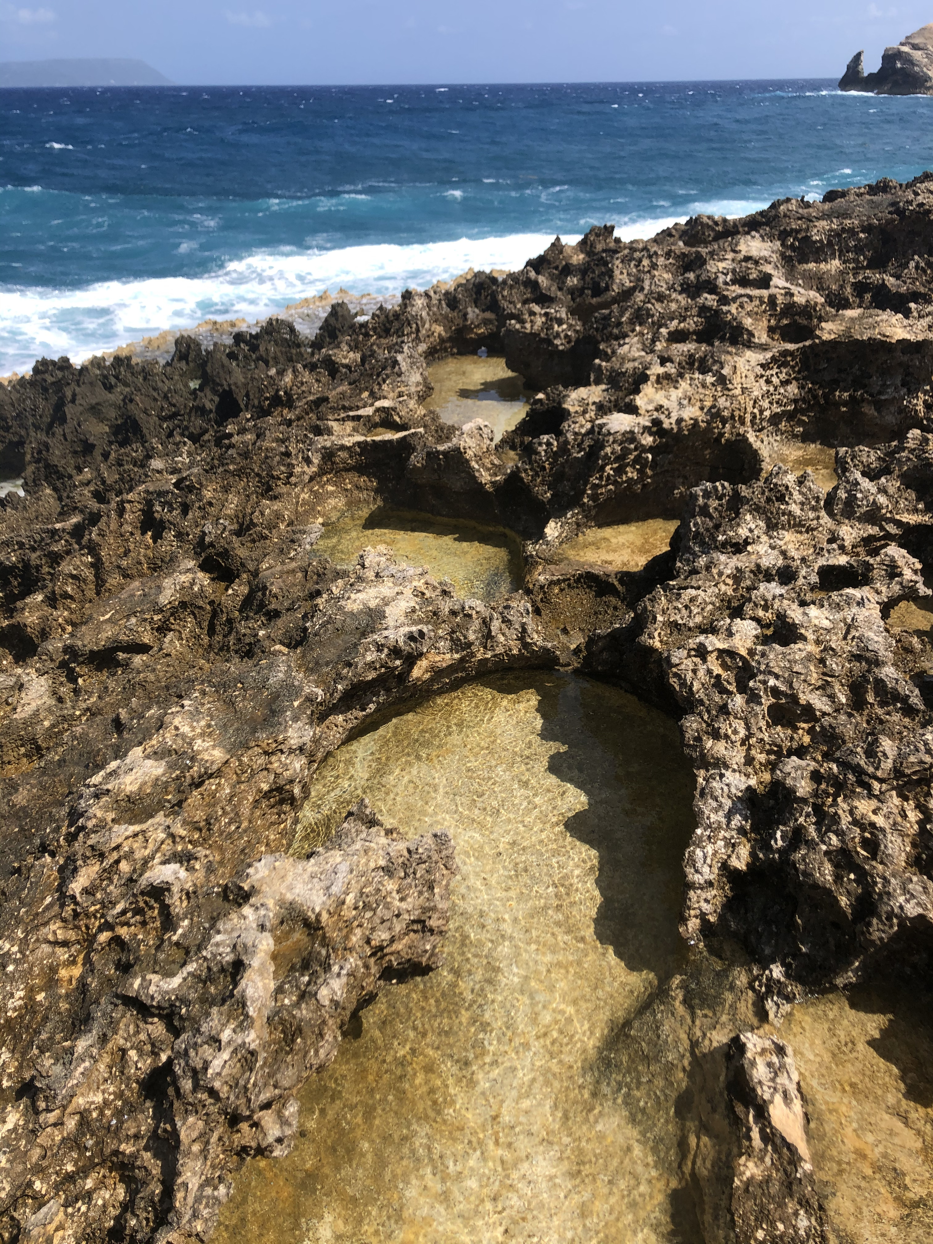 照片 瓜德罗普(Guadeloupe) 城堡角(Castle Point) 2021-02 217