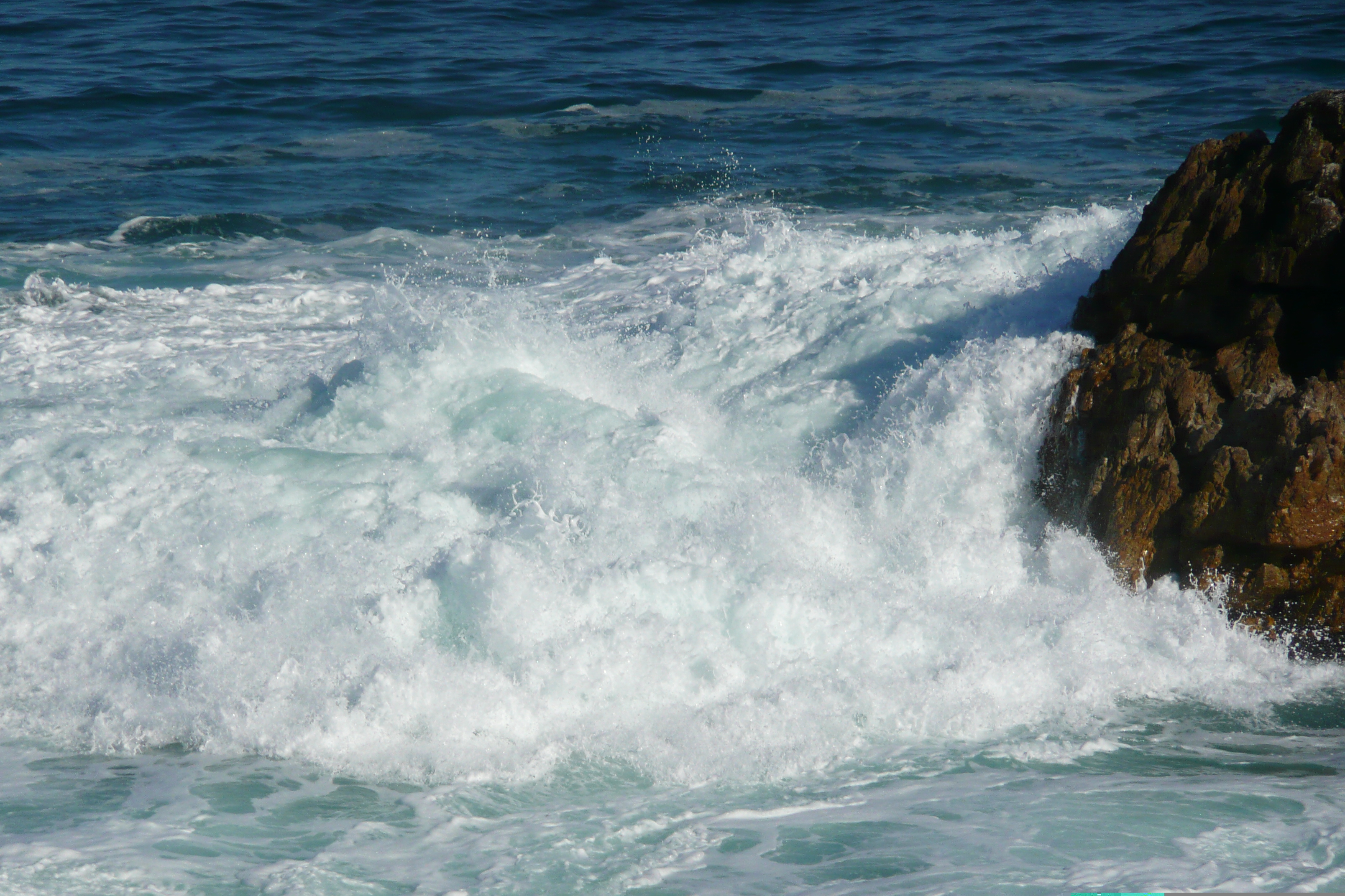 照片 南非(South Africa) 赫曼努斯(Harmanus) 2008-09 240