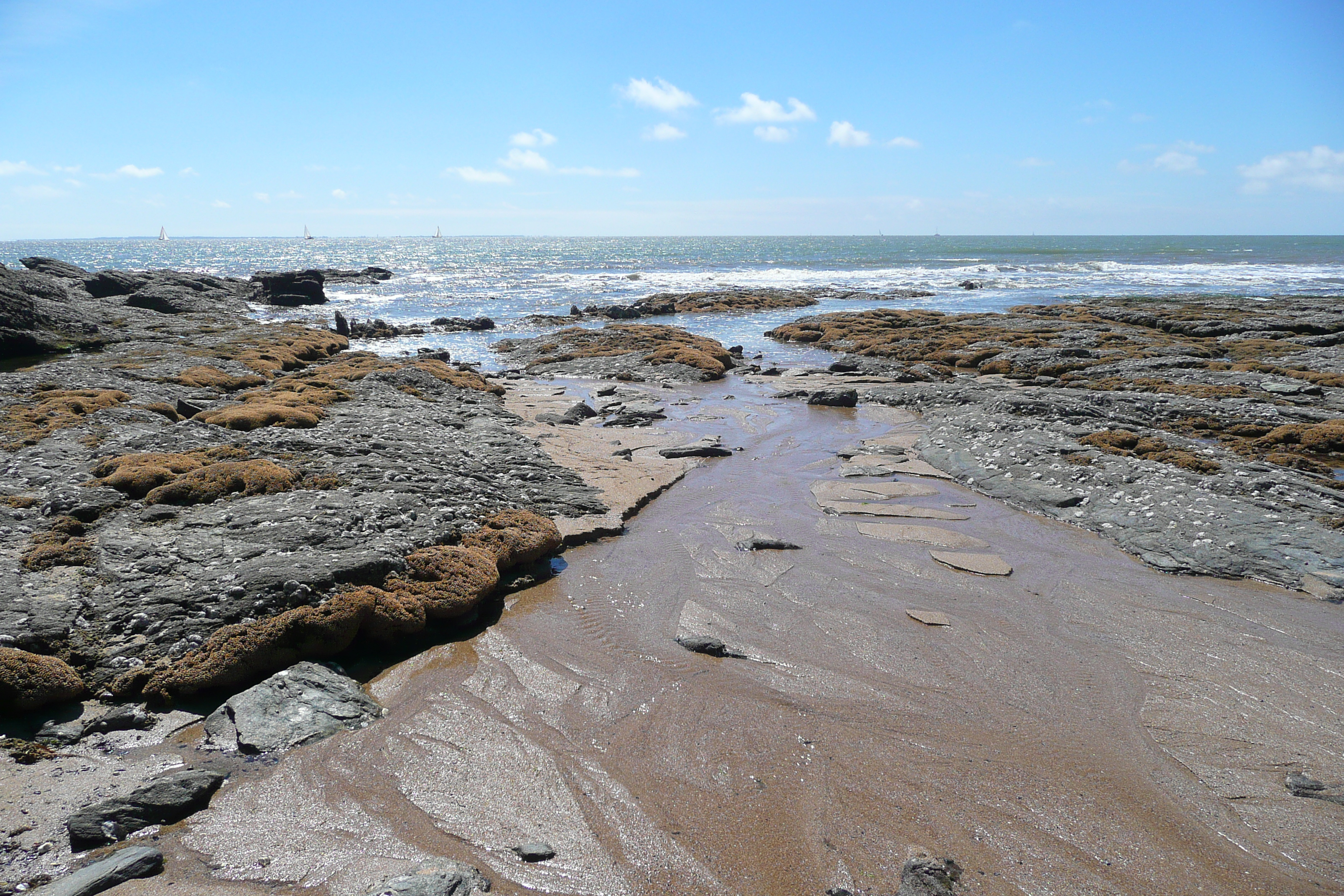 照片 法国(France) 波尔尼克(Pornic) 大谷海滩(grandes vallees Beach) 2008-07 10