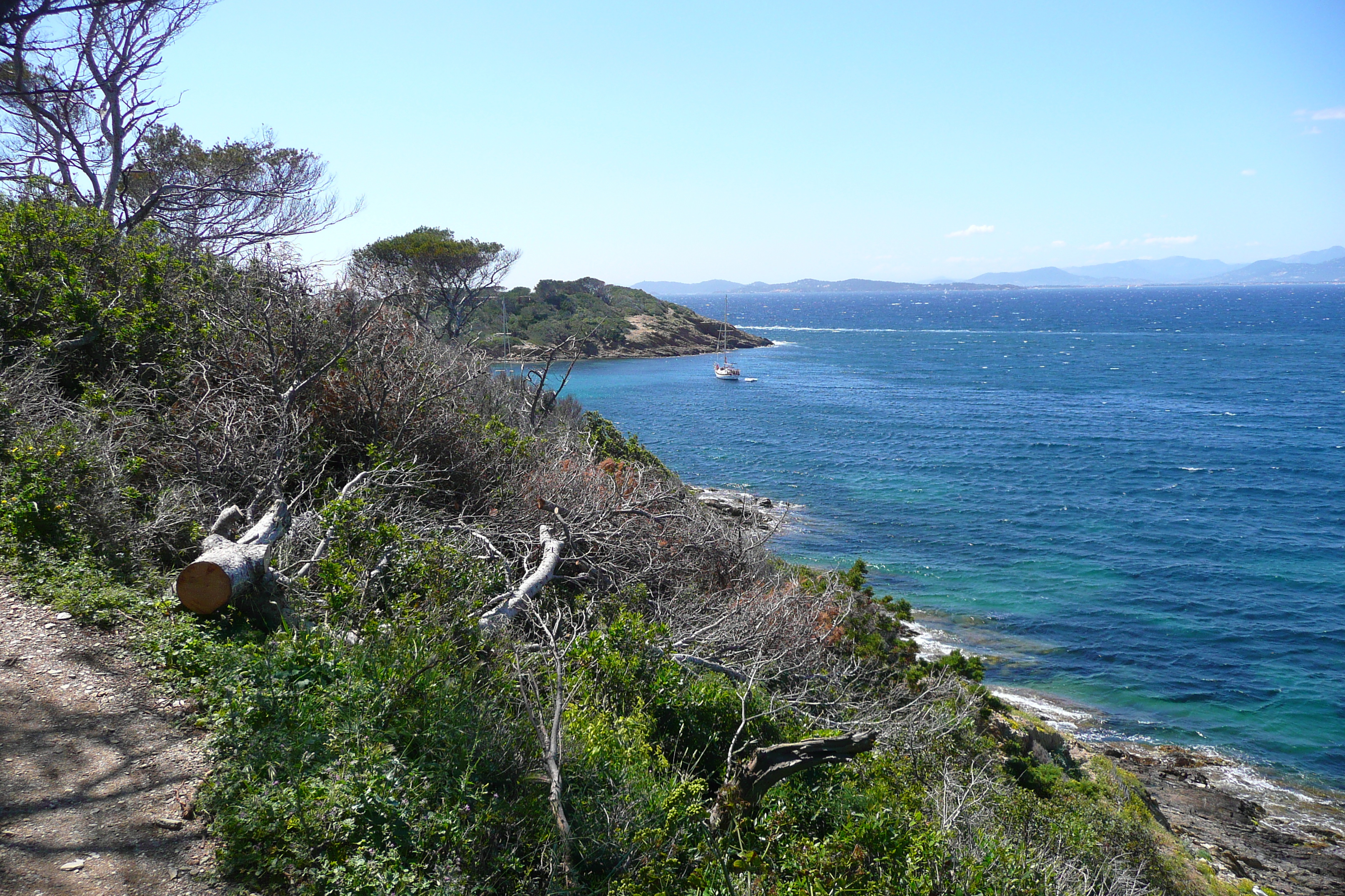 照片 法国(France) 波克罗勒岛(Porquerolles Island) 勒坎角(Pointe du Lequin) 2008-05 2
