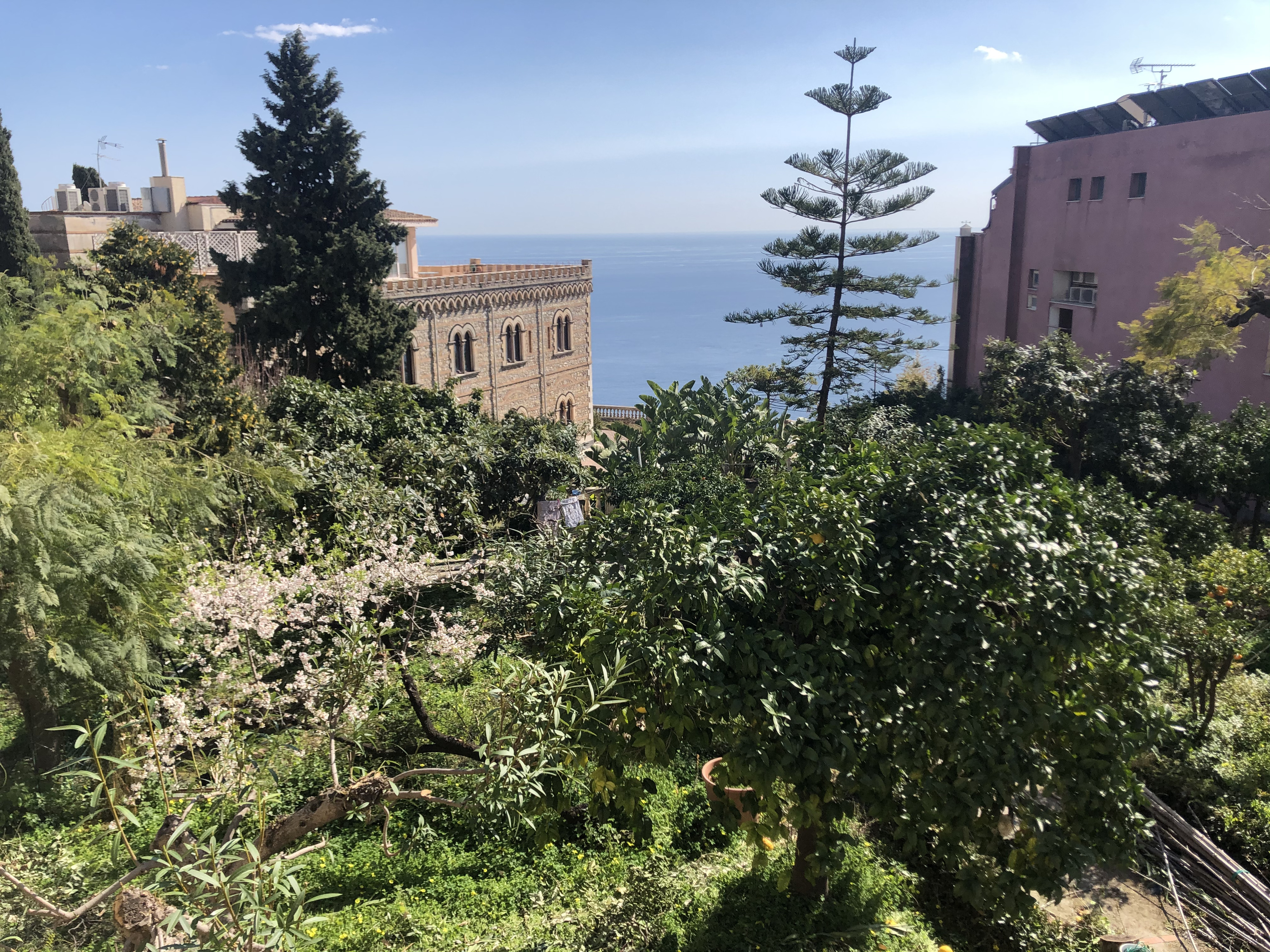 照片 意大利(Italy) 西西里岛(Sicily) 陶尔米纳(Taormina) 2020-02 71