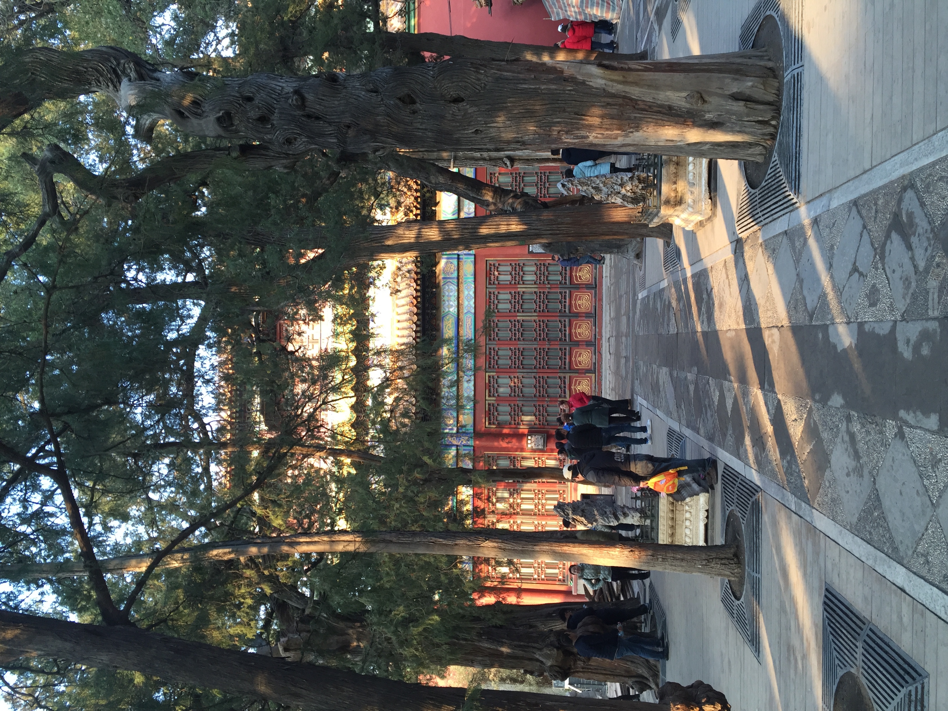 照片 中国(China) 北京(Beijing) 紫禁城(Forbidden City) 2015-12 155