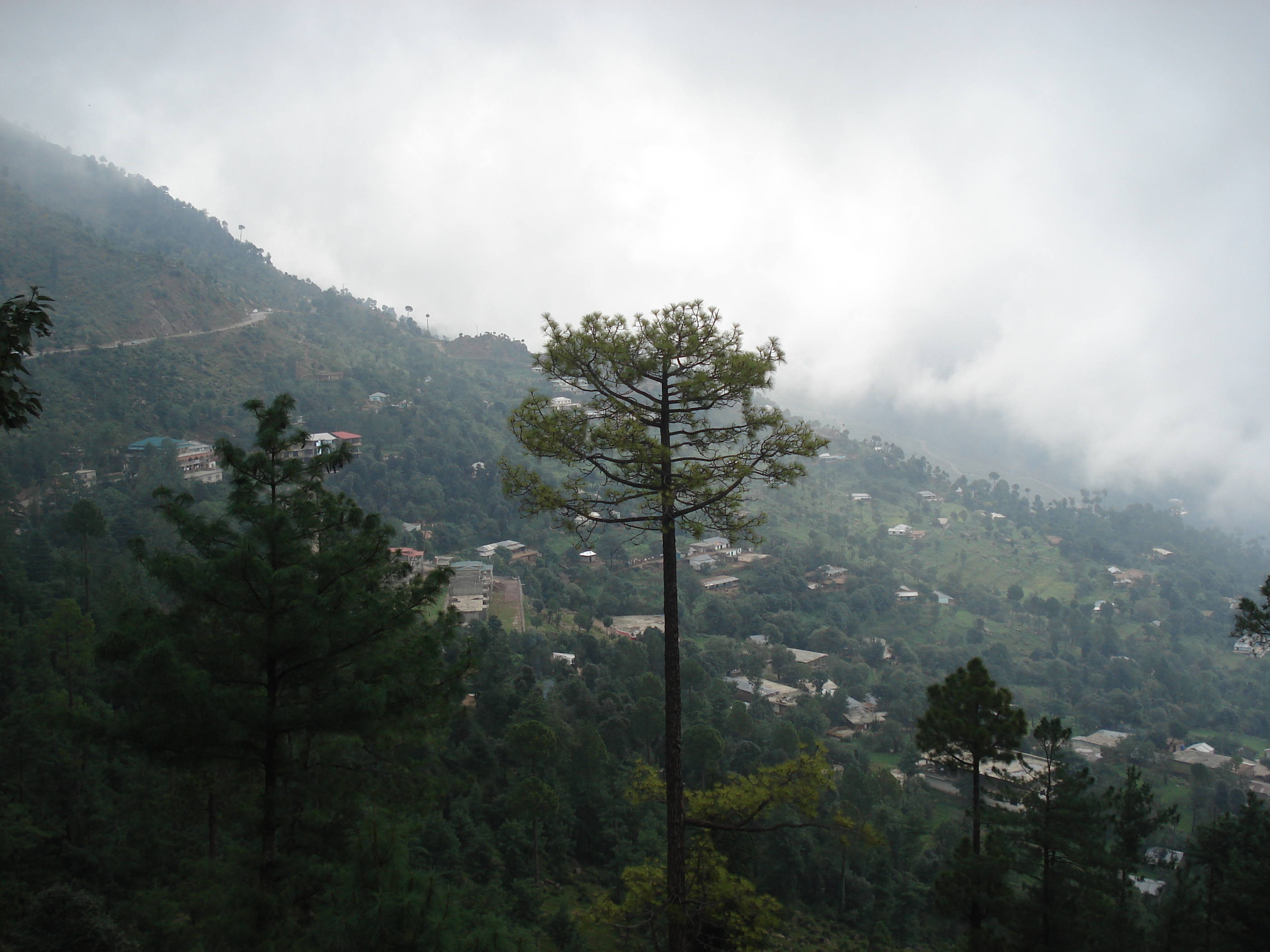 照片 巴基斯坦(Pakistan) 穆里(Murree) 2006-08 159