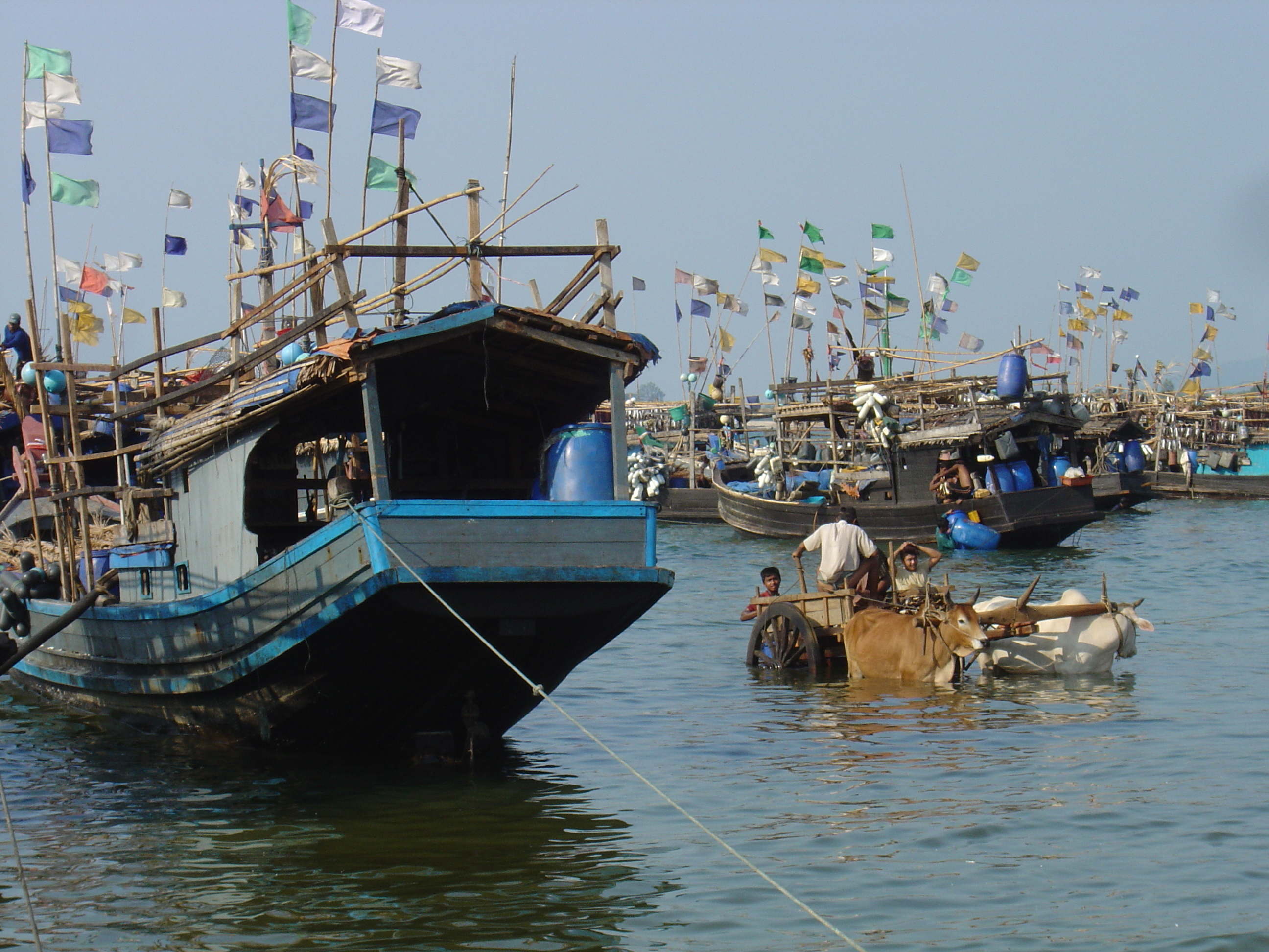 照片 缅甸(Myanmar) 茂马干海滩(Maungmagan beach) 2005-01 23