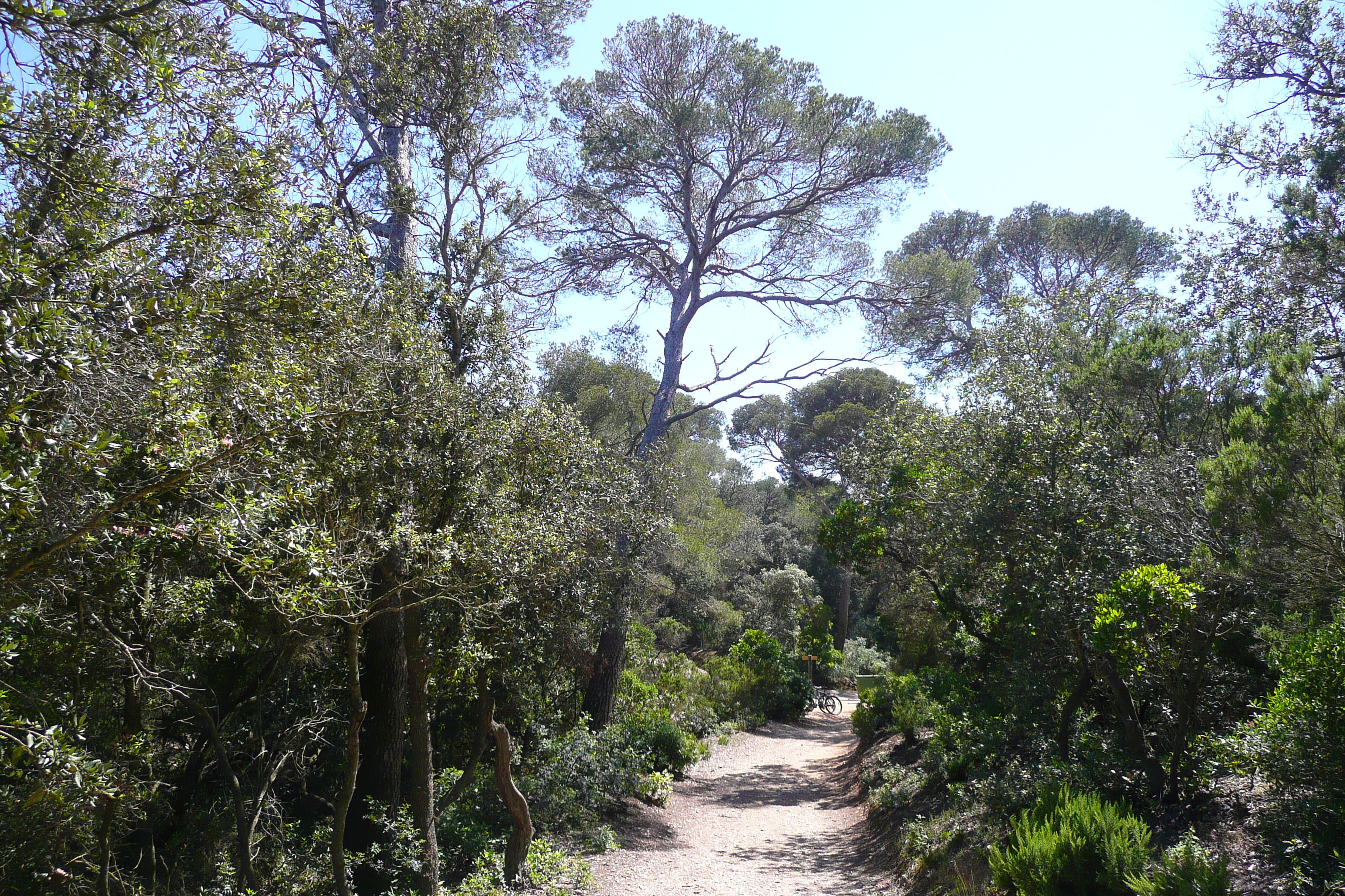 照片 法国(France) 波克罗勒岛(Porquerolles Island) 阿利卡斯特尔海滩(Alycastre beach) 2008-05 0