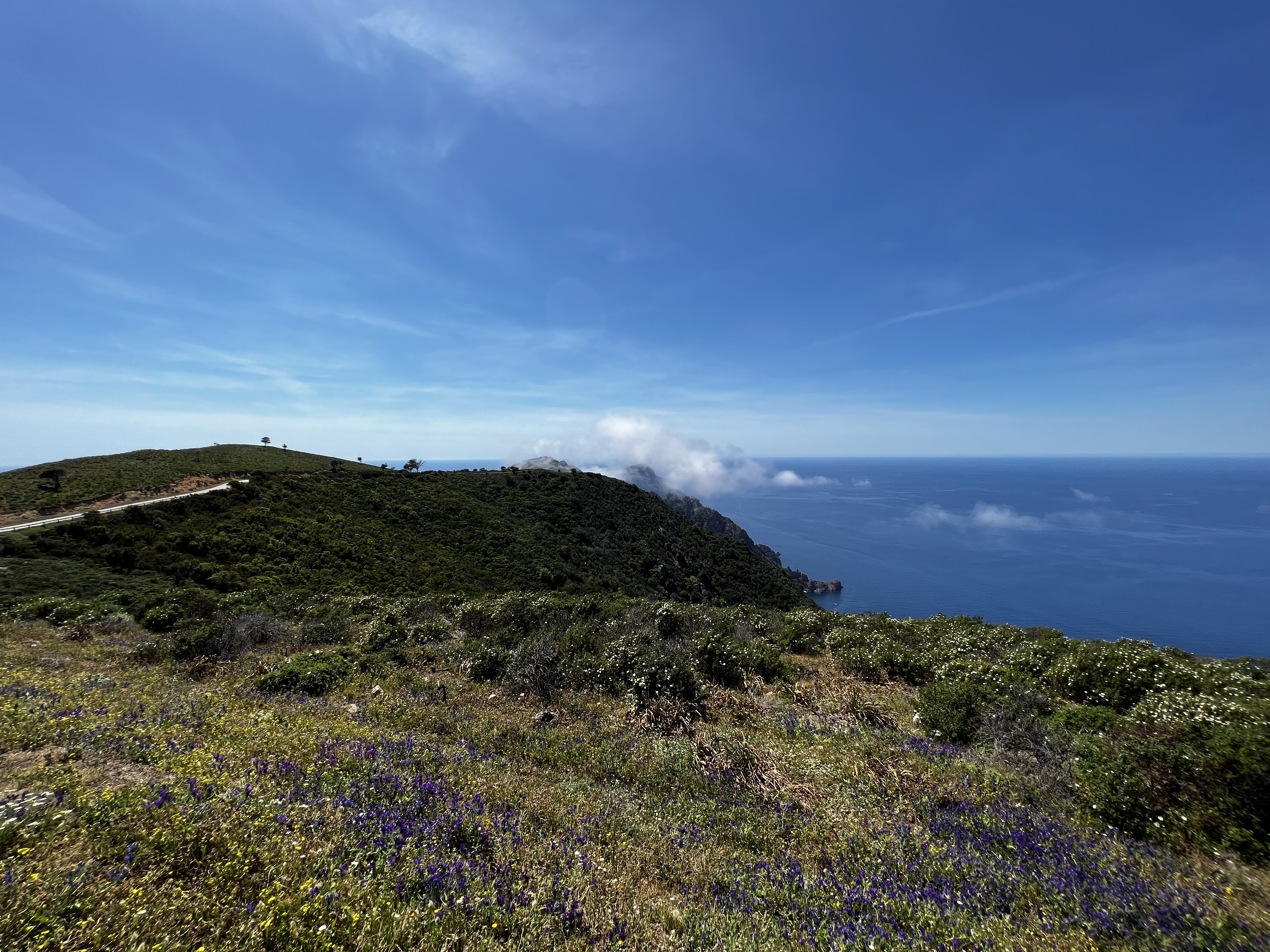 照片 法国(France) 科西嘉岛(Corsica) 罗索角(Capo Rosso) 2023-05 9