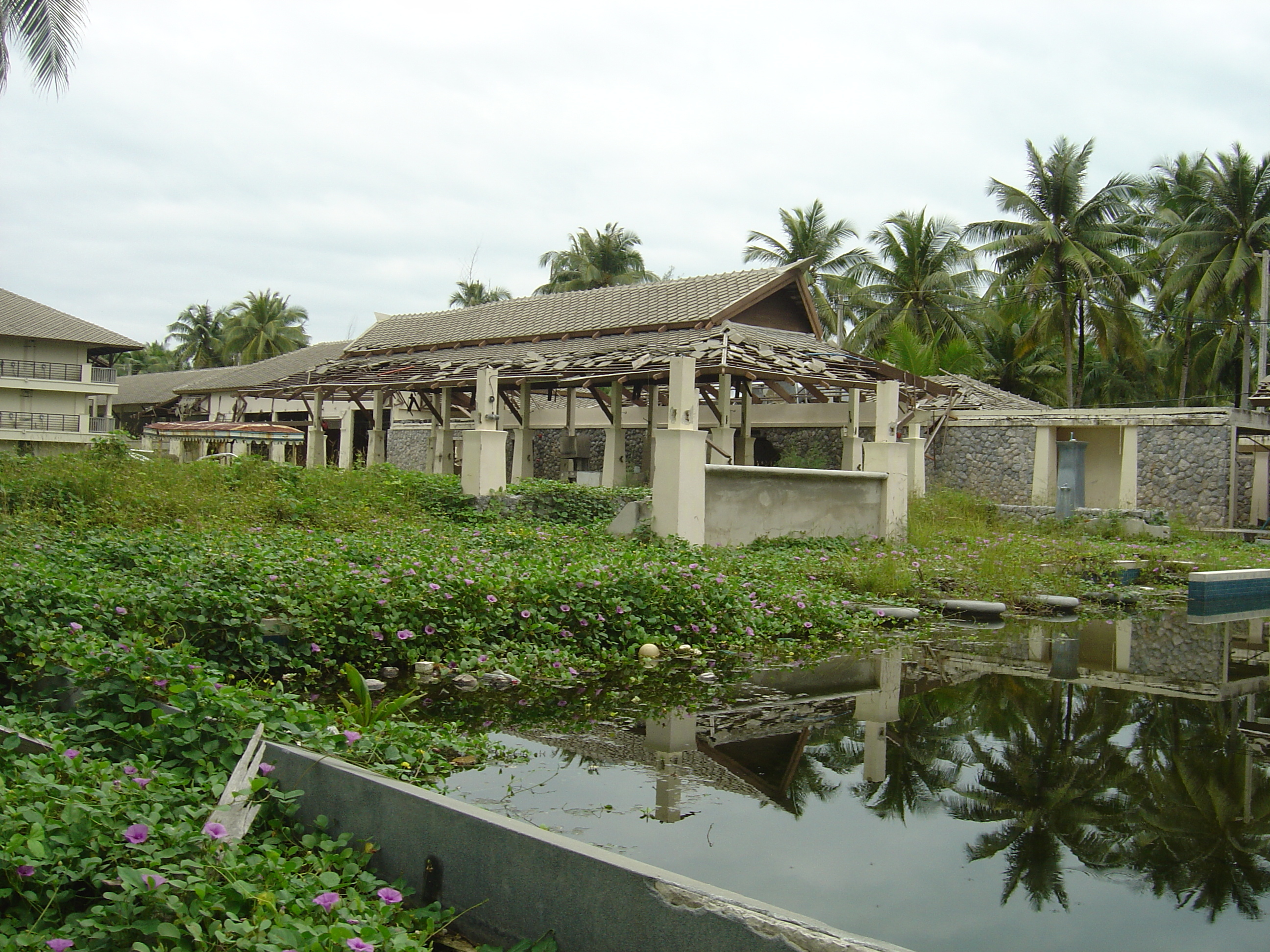 照片 泰国(Thailand) 考拉(Khao Lak) 2005-12 8