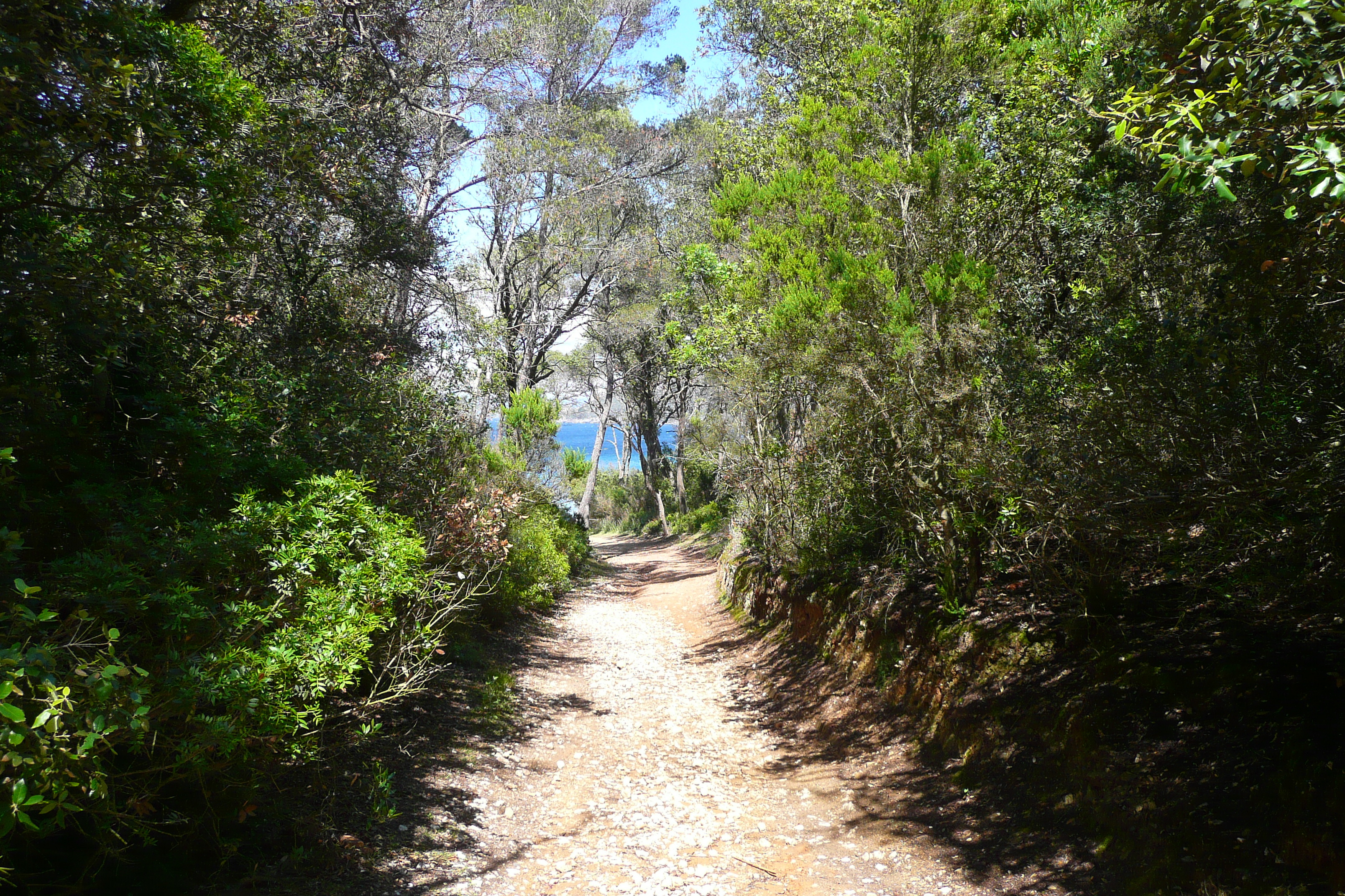 照片 法国(France) 波克罗勒岛(Porquerolles Island) 阿利卡斯特尔海滩(Alycastre beach) 2008-05 13