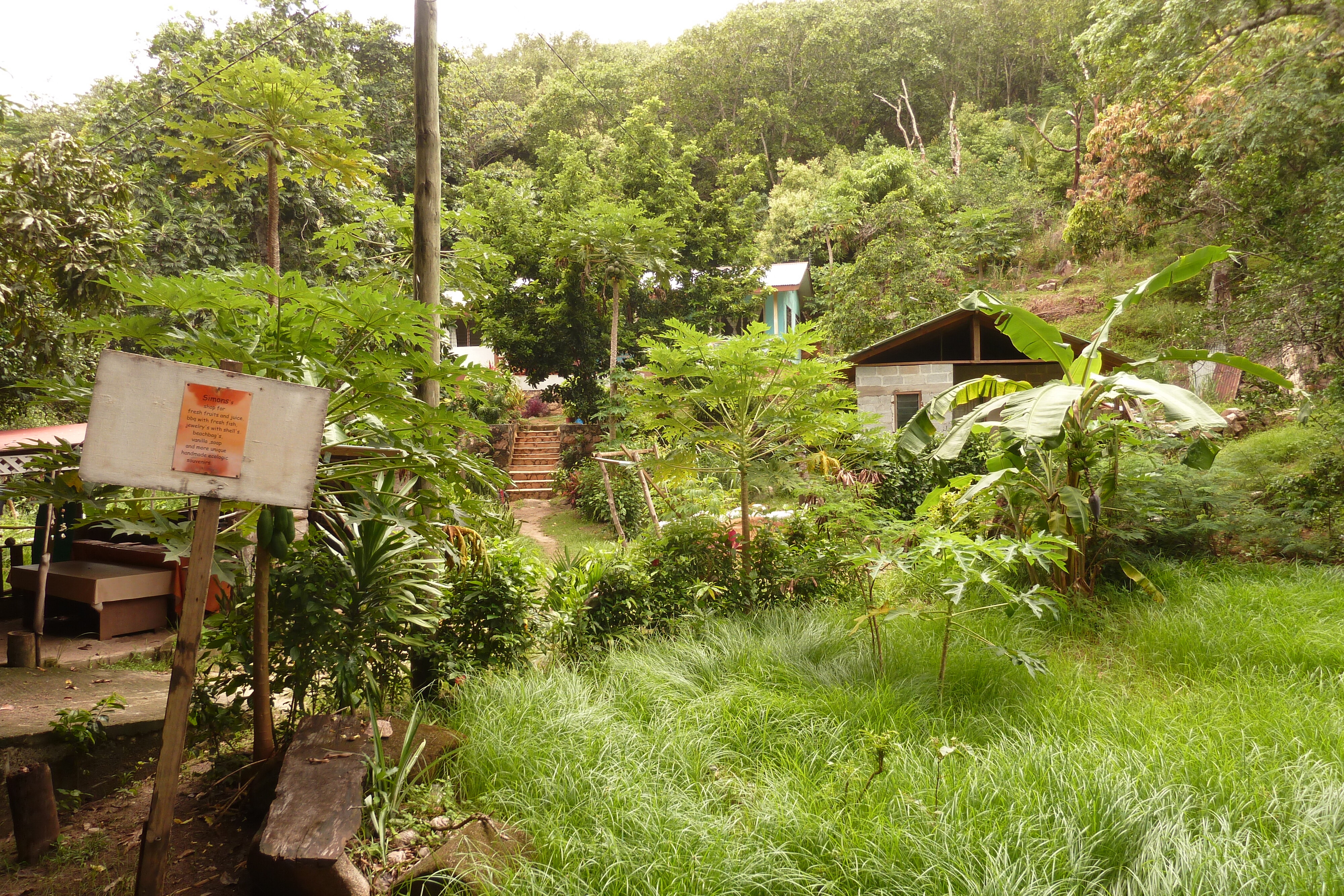 照片 塞舌尔(Seychelles) 拉迪格岛(La Digue) 2011-10 152