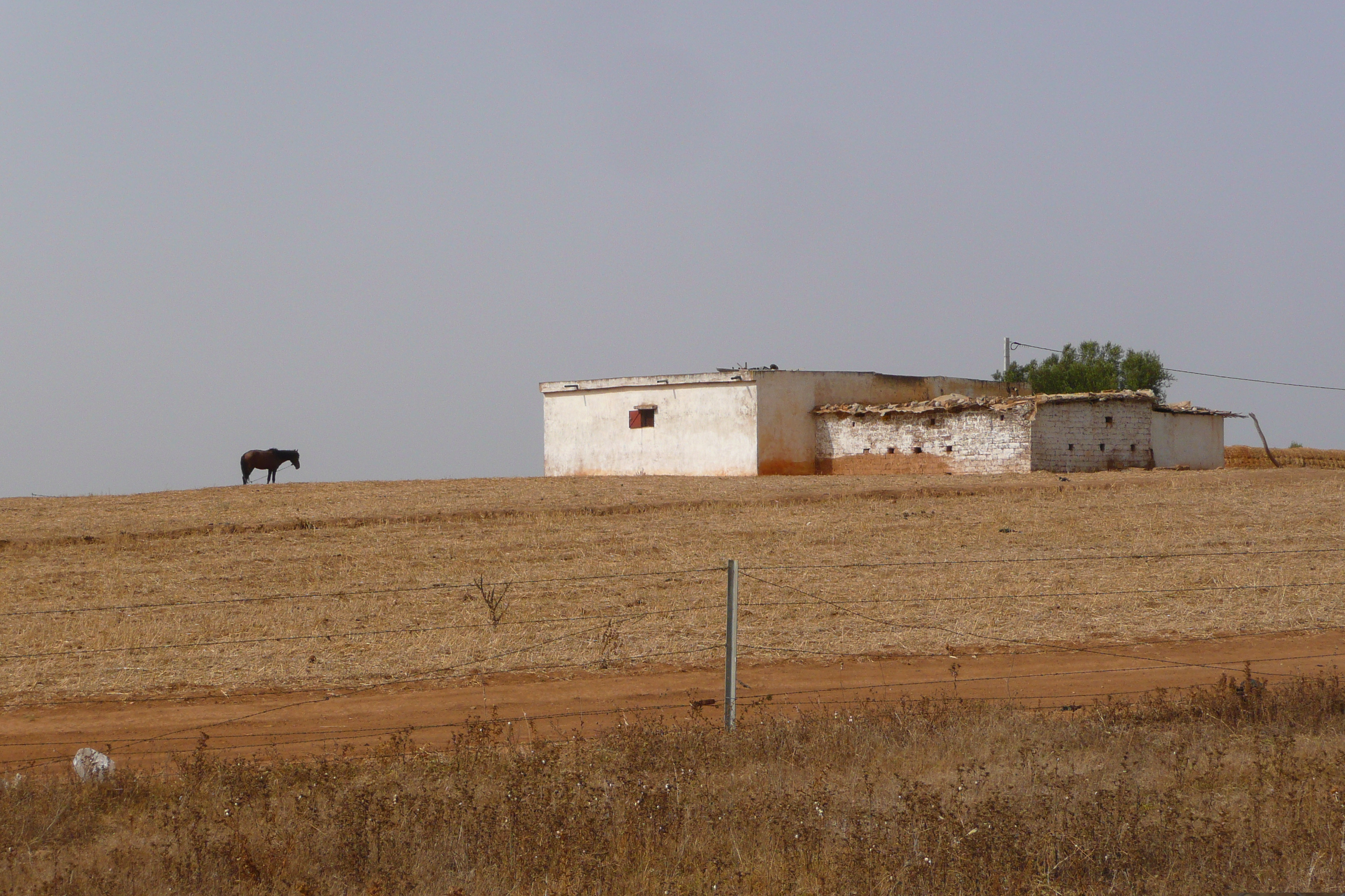 照片 摩洛哥(Morocco) 非斯至拉巴特公路(Fes to Rabat Road) 2008-07 50