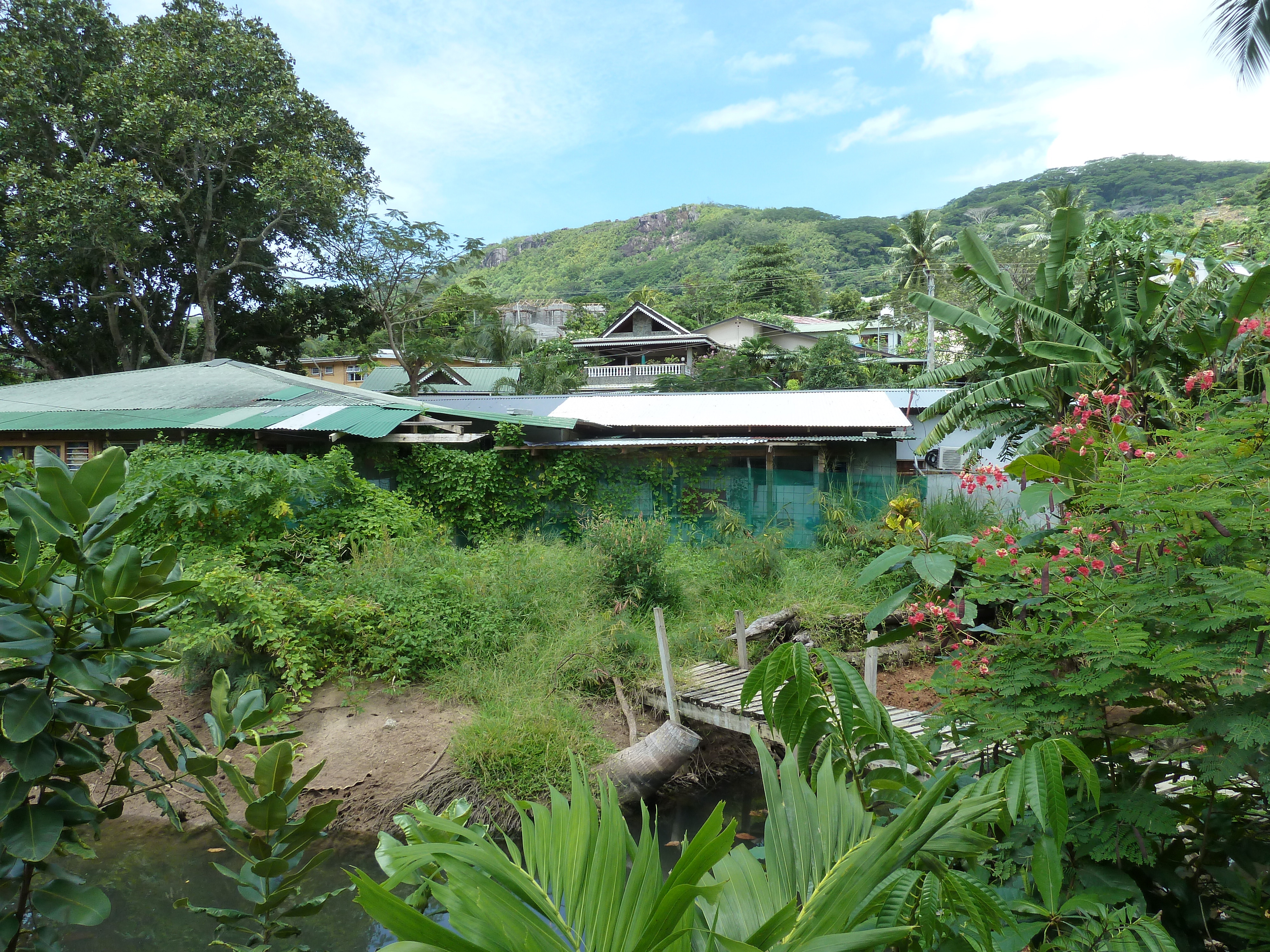 照片 塞舌尔(Seychelles) 马埃岛(Mahe) 2011-10 53