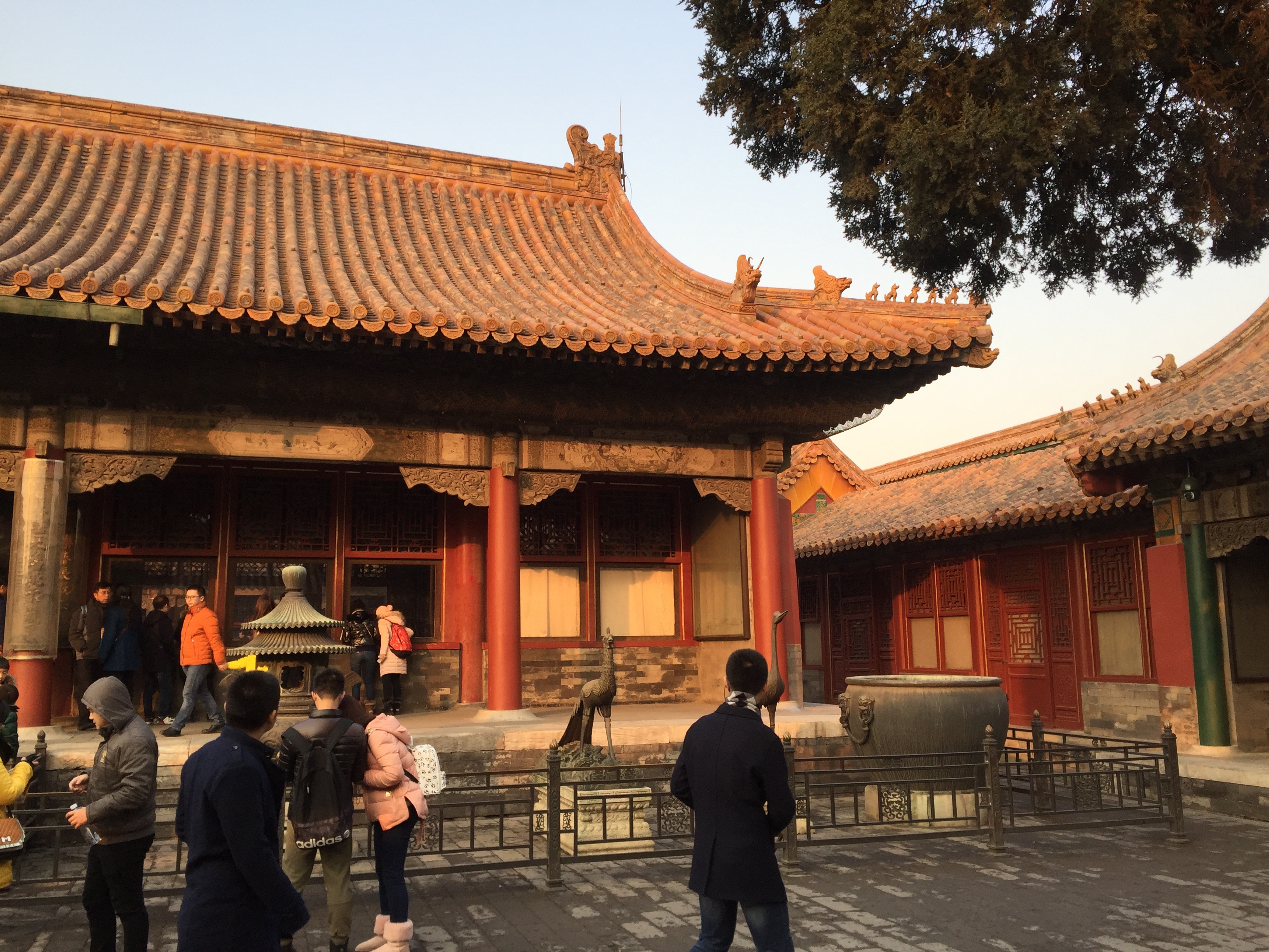 照片 中国(China) 北京(Beijing) 紫禁城(Forbidden City) 2015-12 128