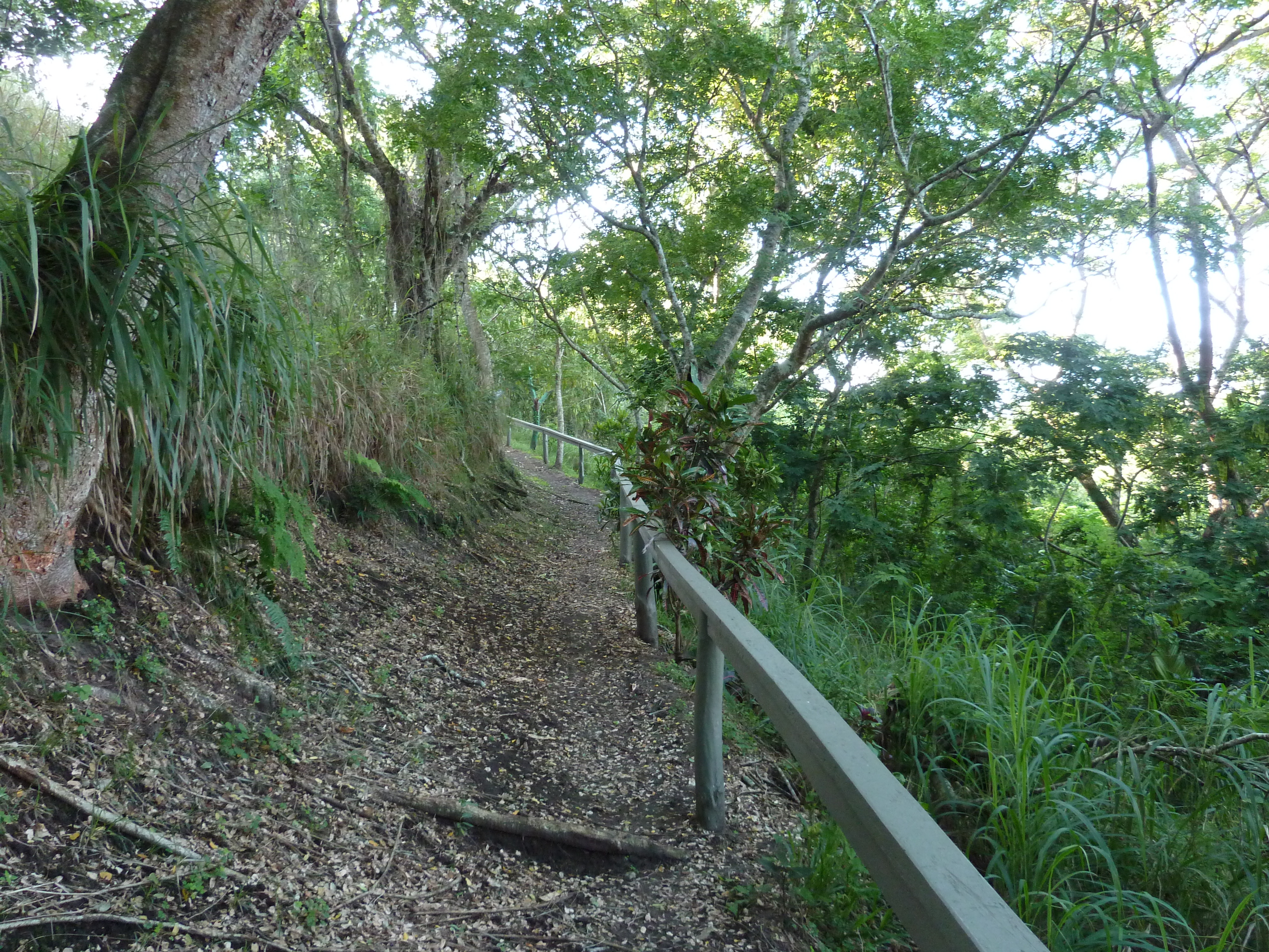 照片 斐济(Fiji) 辛加东卡沙丘国家公园(Sigatoka sand dunes national park) 2010-05 47