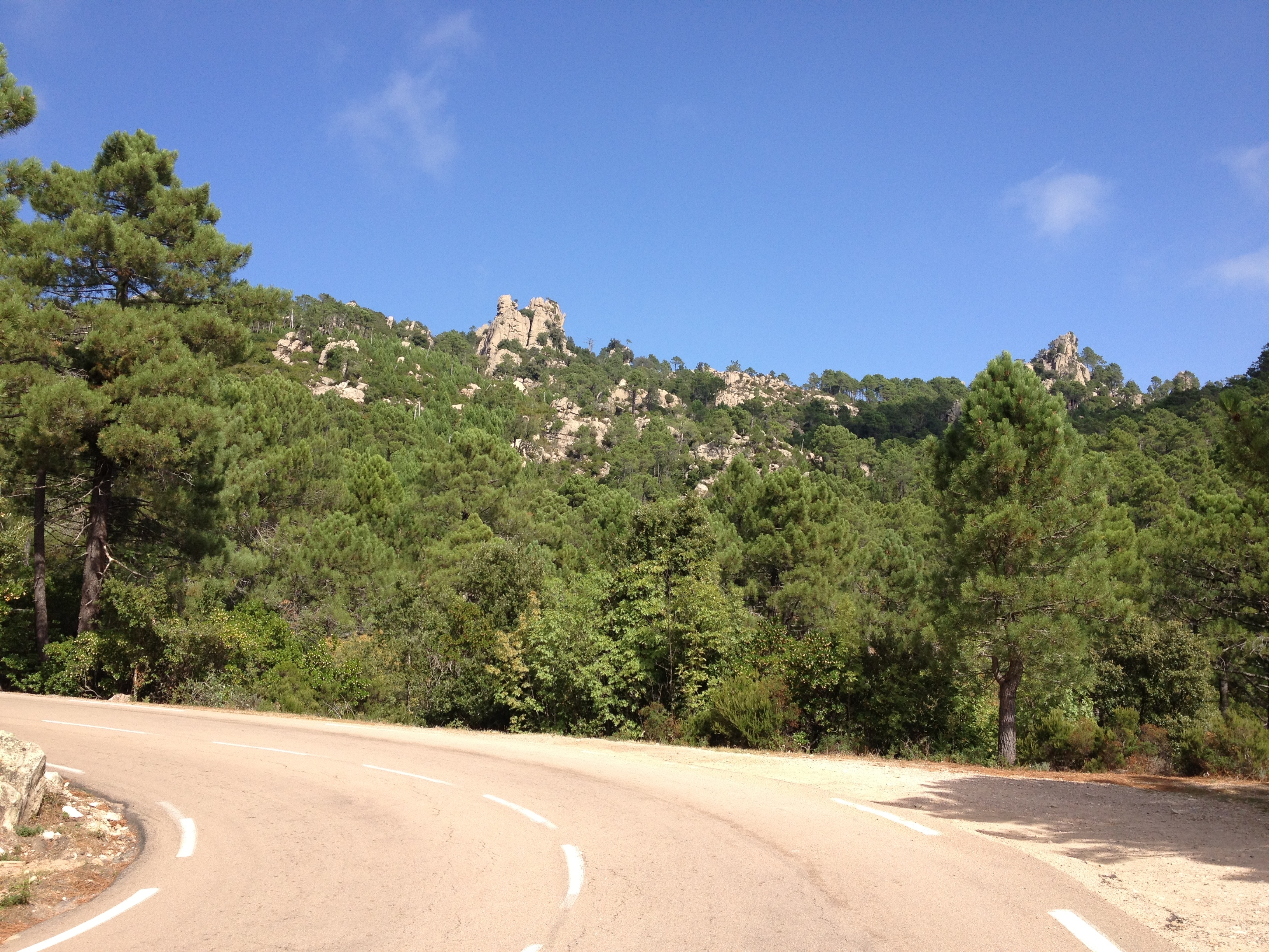 照片 法国(France) 科西嘉岛(Corsica) 奥斯佩达莱森林(L'ospedale Forest) 2012-09 5