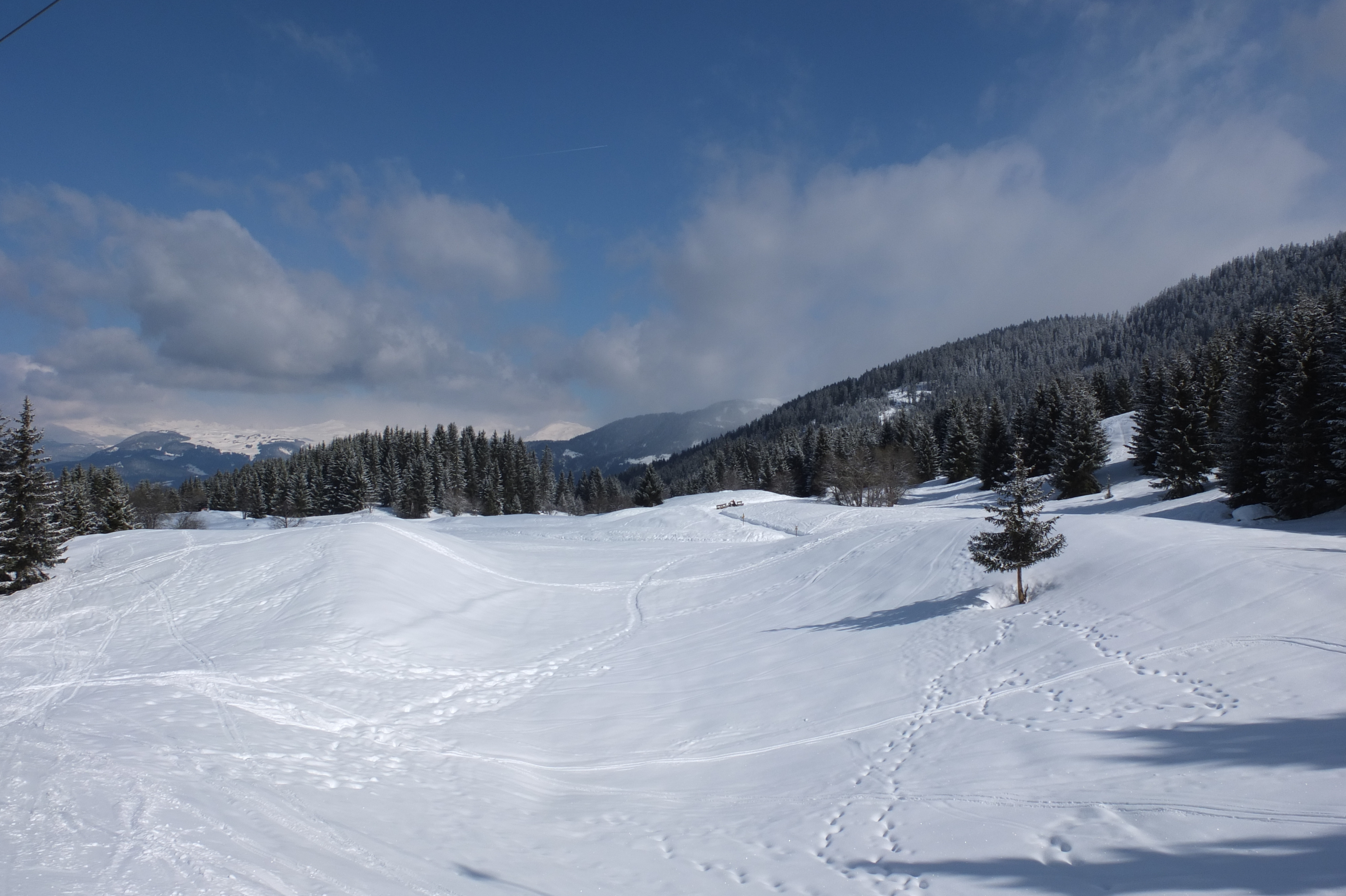 照片 法国(France) 三峡谷滑雪场(Les 3 Vallees) 2013-03 121