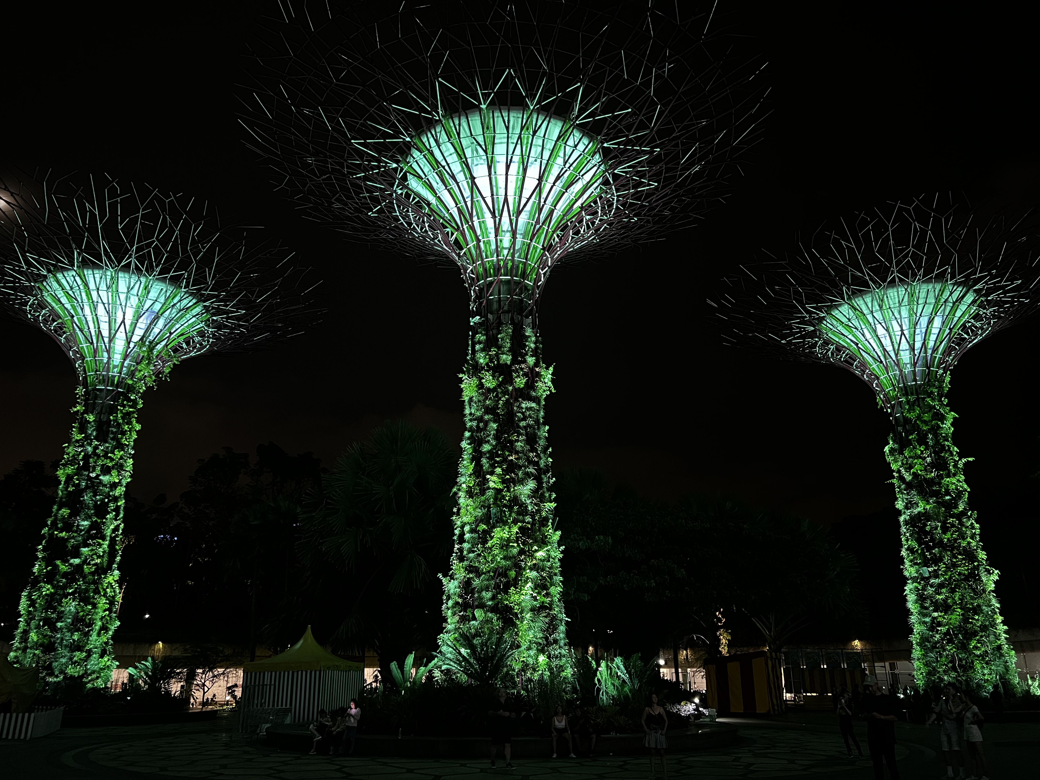 照片 新加坡(Singapore) 滨海湾花园(Garden by the bay) 2023-01 22
