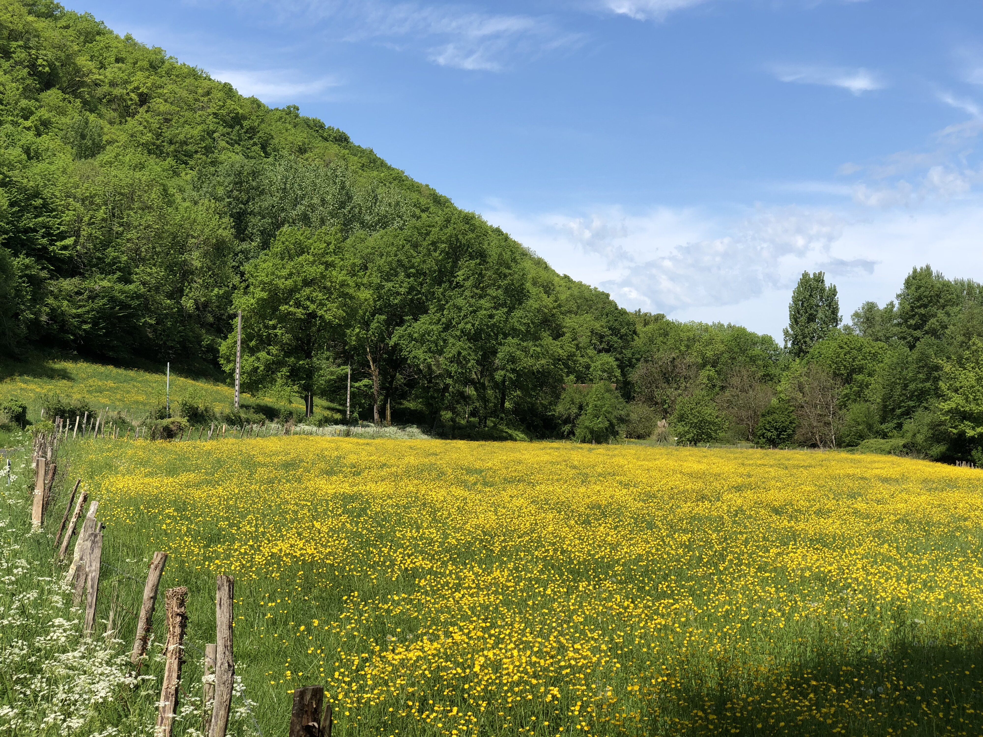照片 法国(France) 弗卢瓦拉克(Floirac) 2018-04 87