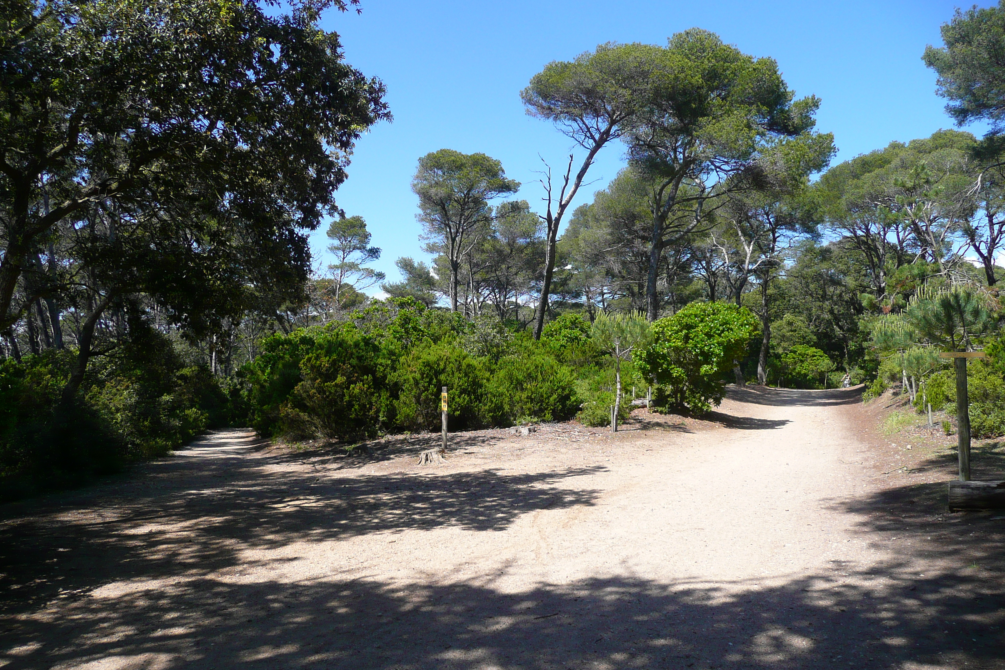 照片 法国(France) 波克罗勒岛(Porquerolles Island) 勒坎角(Pointe du Lequin) 2008-05 66