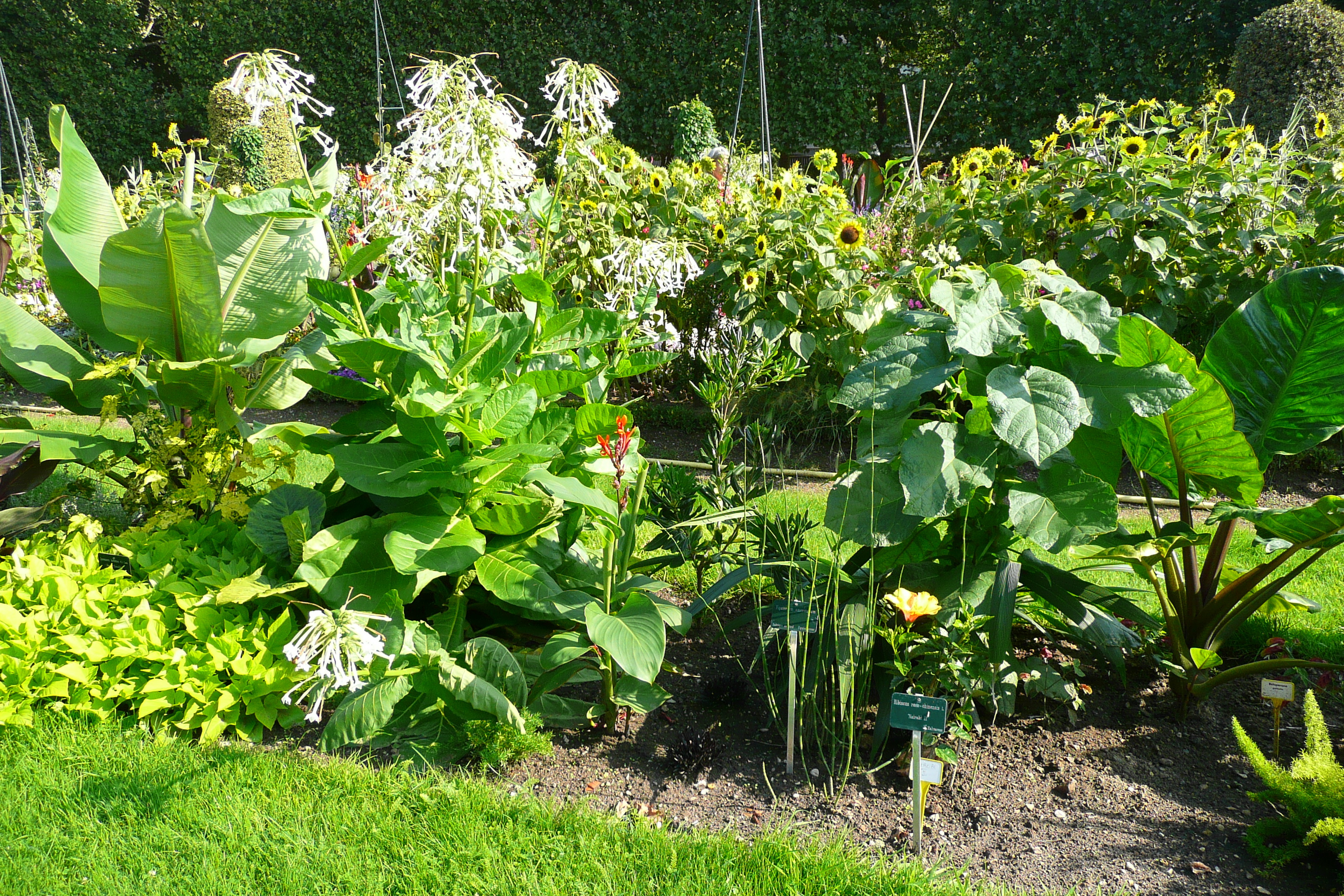 照片 法国(France) 巴黎(Paris) 巴黎植物园(Jardin des Plantes) 2007-08 34