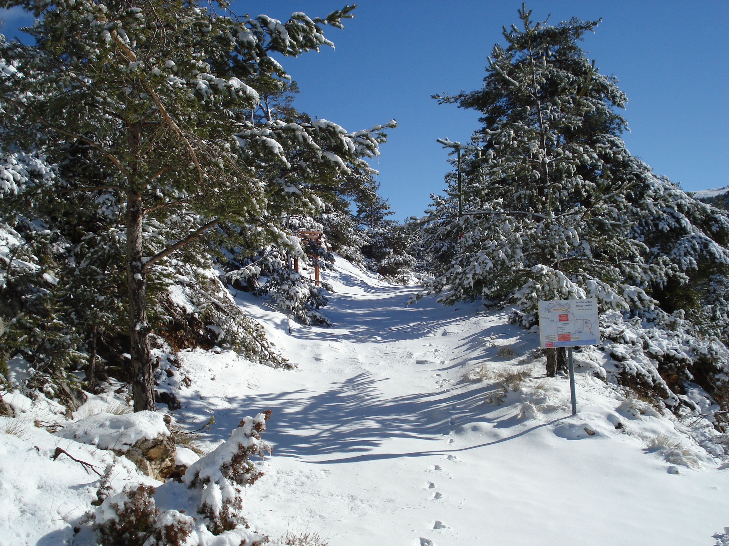 照片 法国(France) 格雷奥利耶雪场(Greolieres les neiges) 2007-01 33