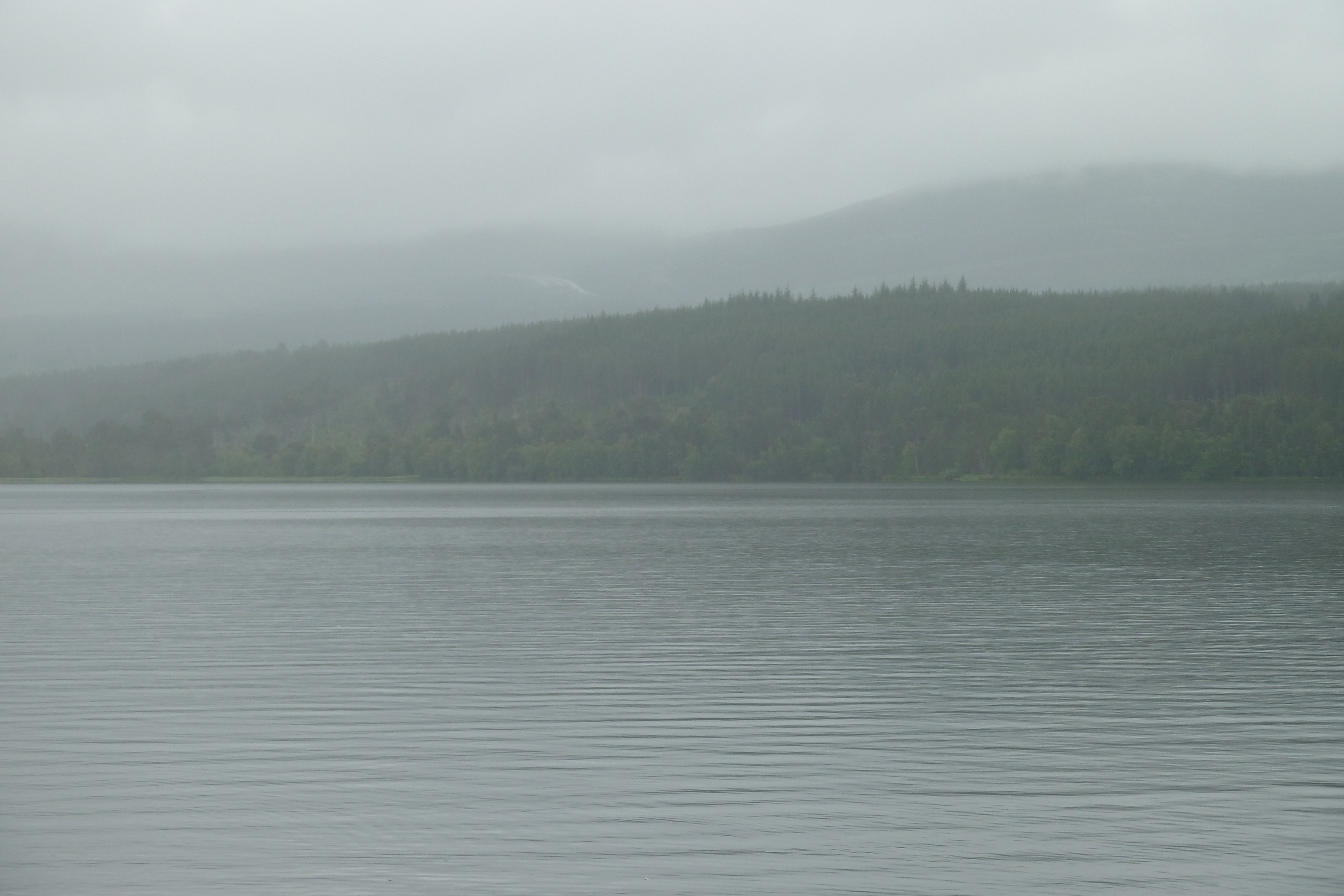 照片 英国(United Kingdom) 苏格兰(Scotland) 福里斯至阿维莫尔公路(Forres to Aviemore road) 2011-07 15