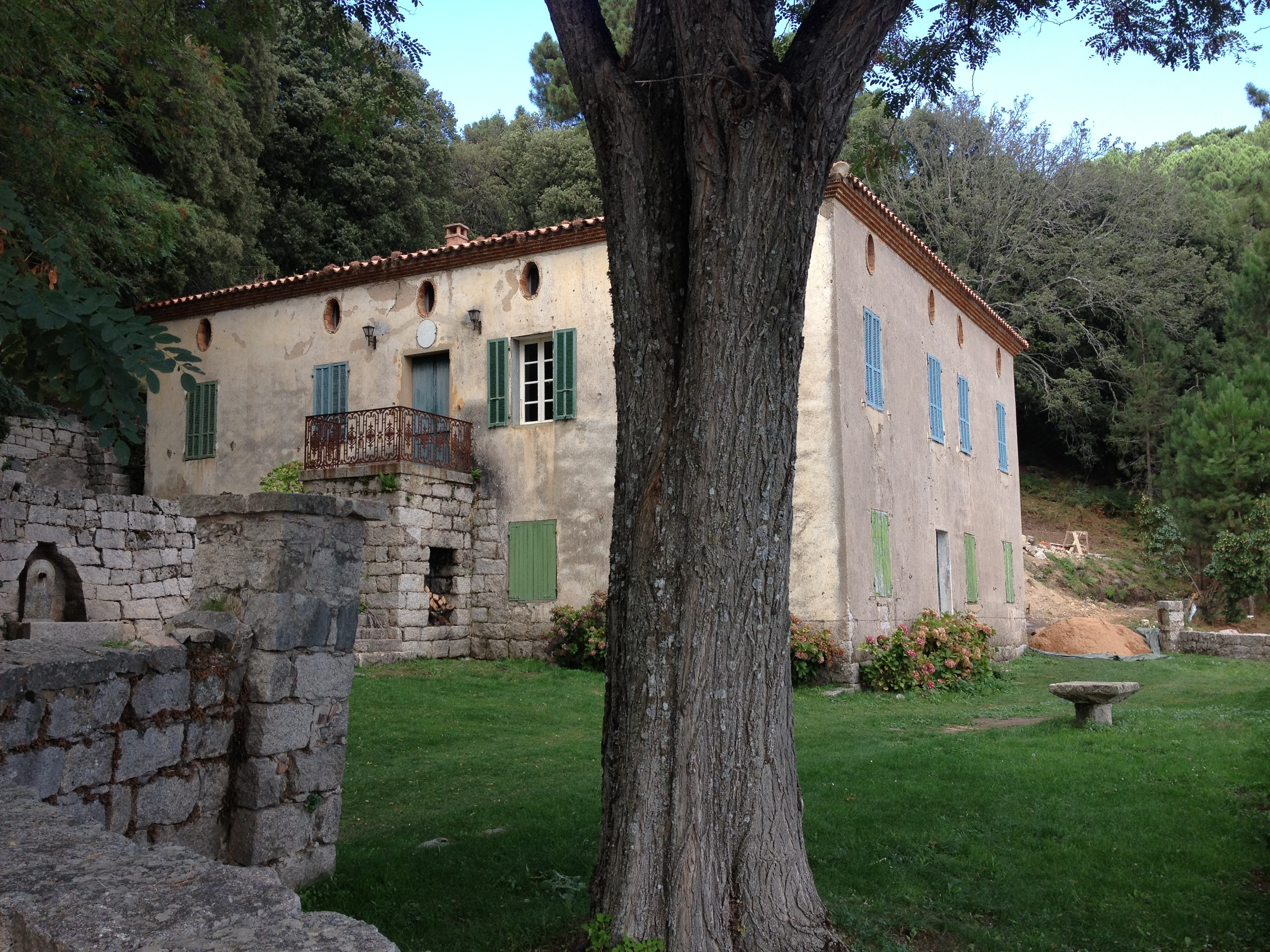照片 法国(France) 科西嘉岛(Corsica) 奥斯佩达莱森林(L'ospedale Forest) 2012-09 6