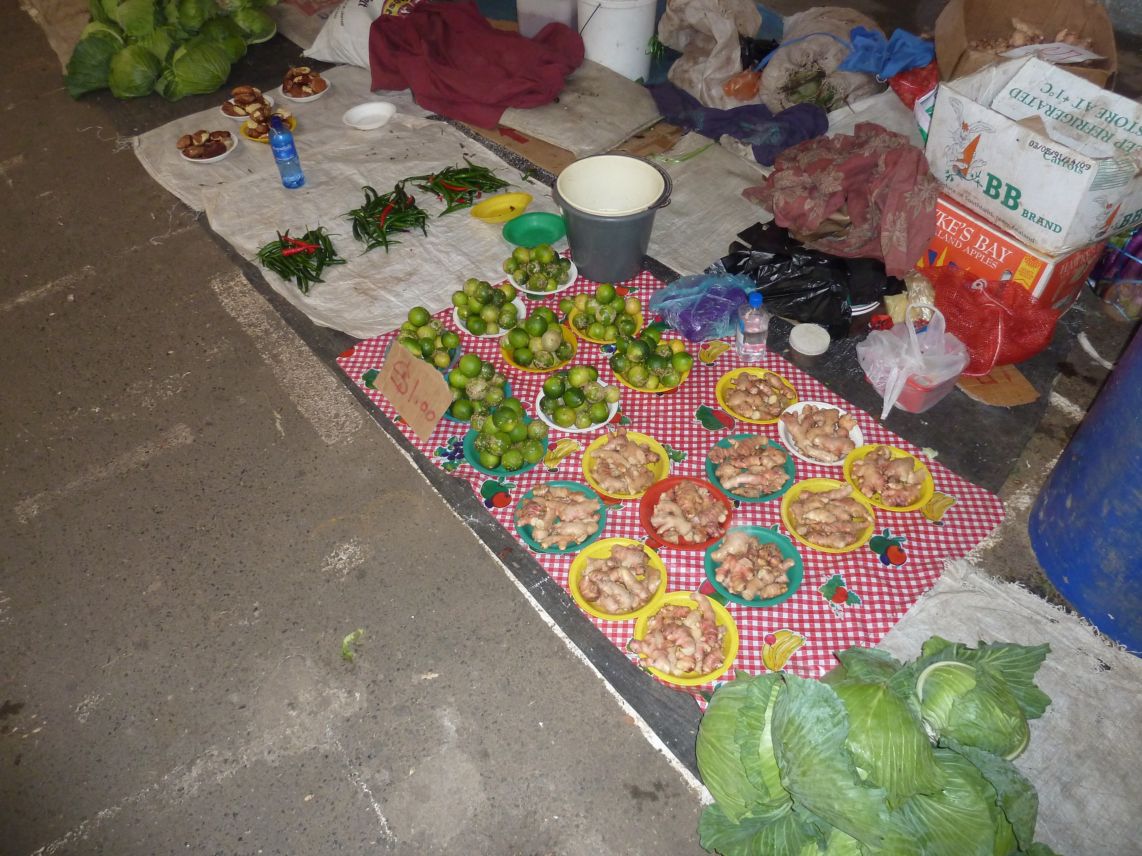 照片 斐济(Fiji) 楠迪(Nadi) 2010-05 90