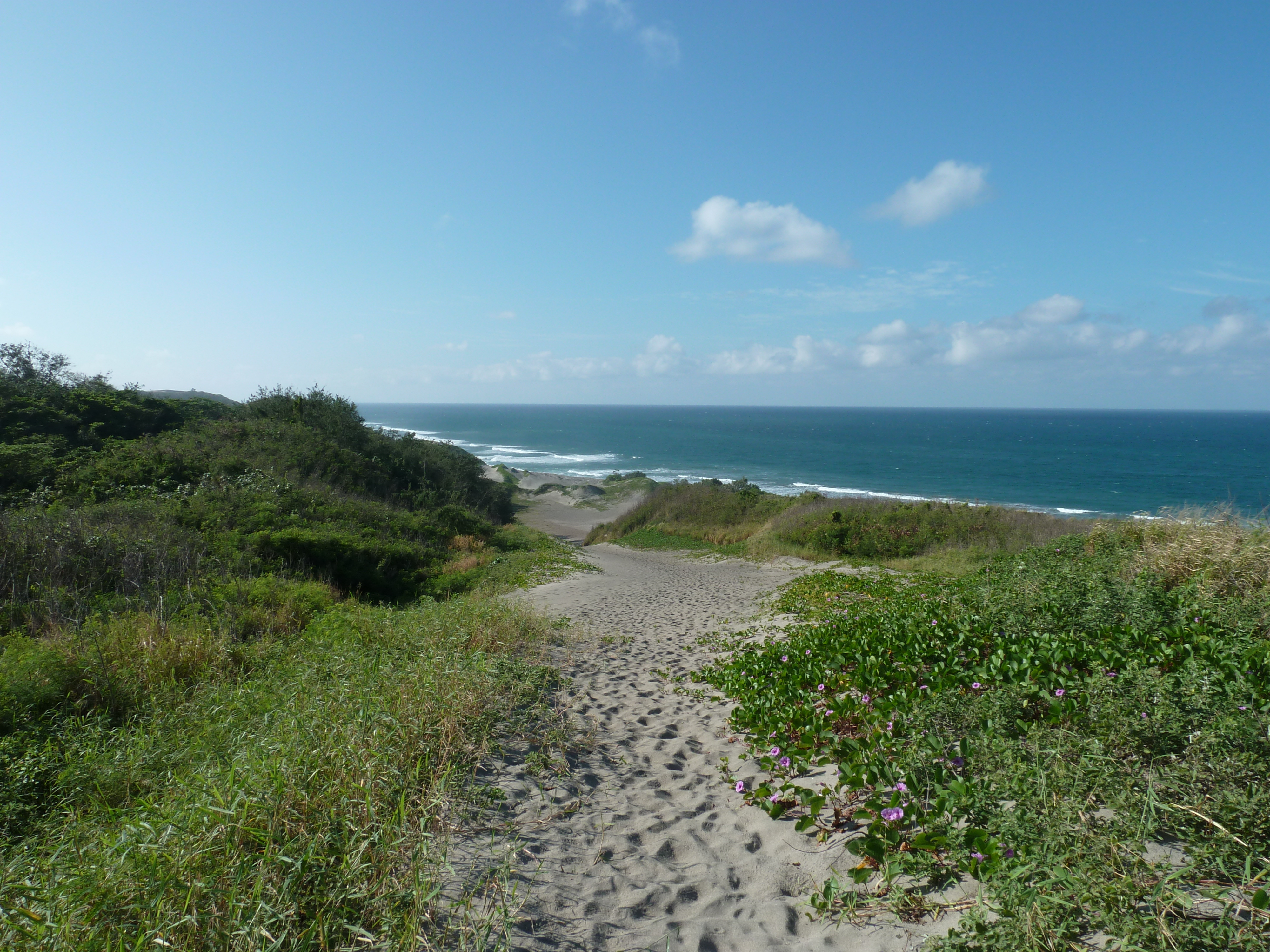 照片 斐济(Fiji) 辛加东卡沙丘国家公园(Sigatoka sand dunes national park) 2010-05 7
