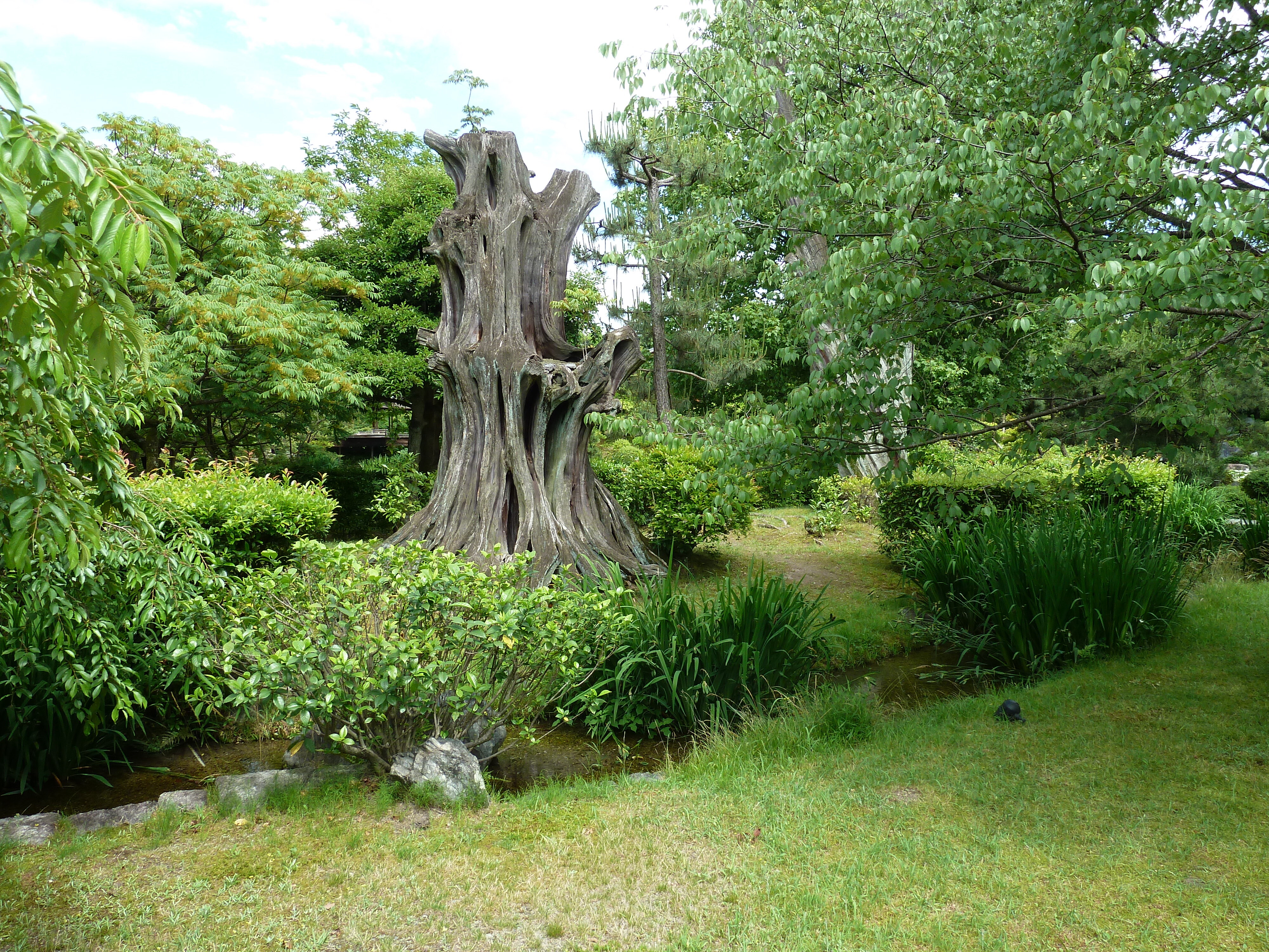 照片 日本(Japan) 京都(Kyoto) 涉成园(Shosei en Garden) 2010-06 1