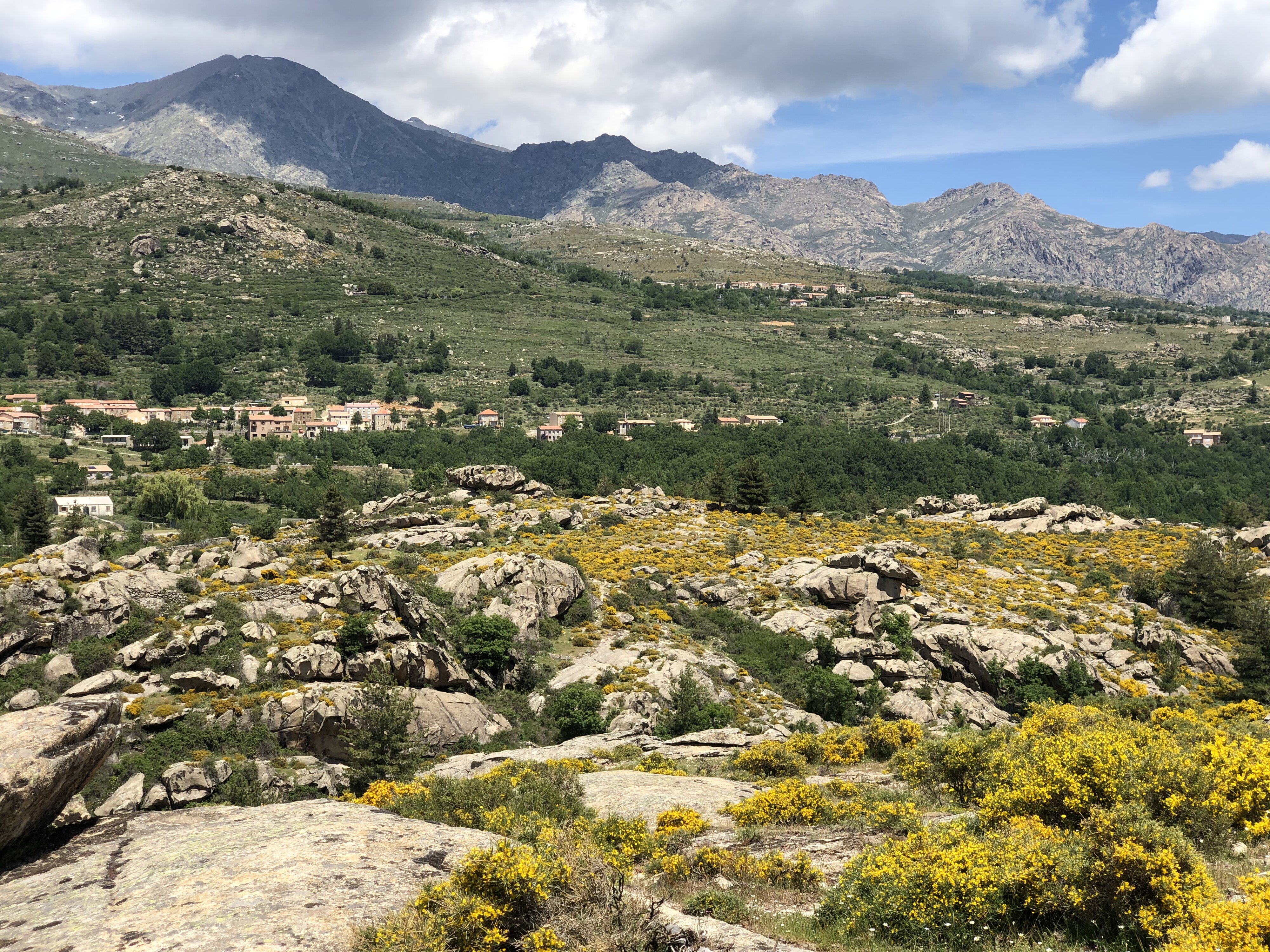 照片 法国(France) 科西嘉岛(Corsica) 艾托内森林(Aitone Forest) 2021-06 3