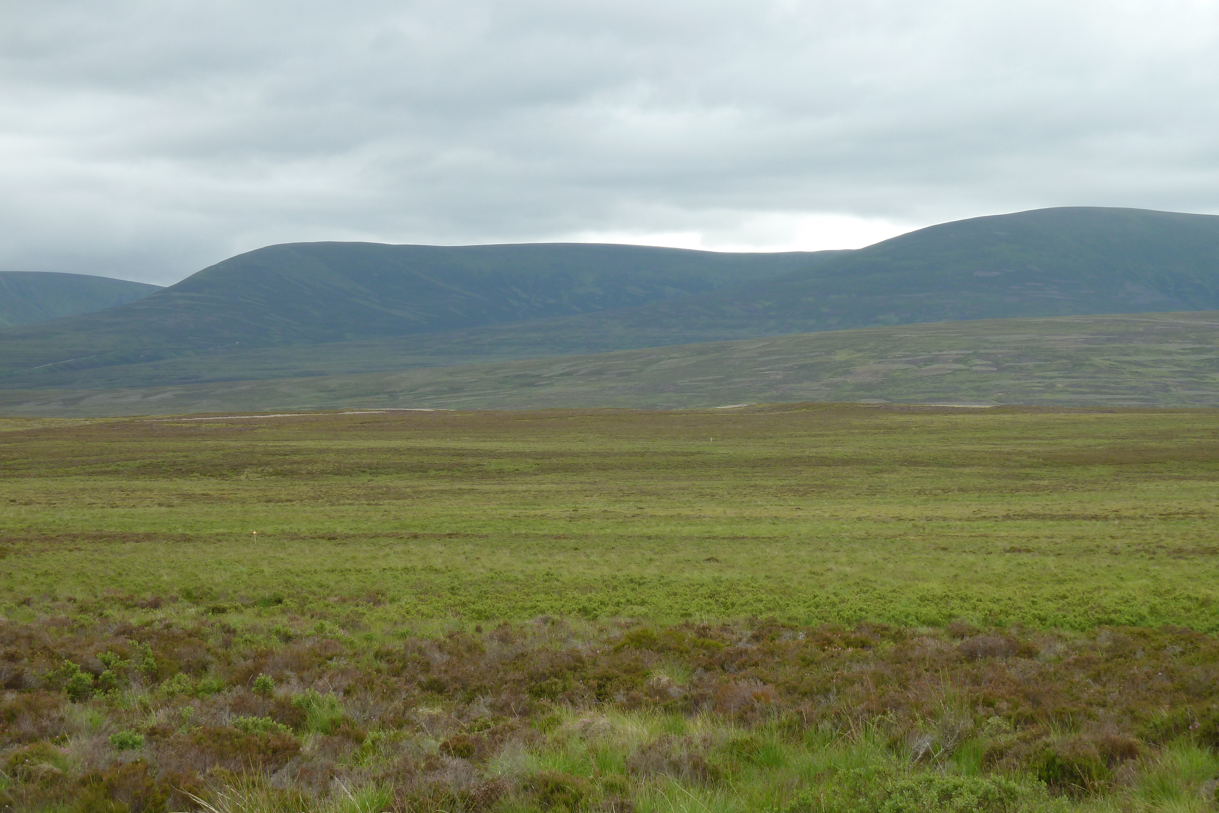 照片 英国(United Kingdom) 苏格兰(Scotland) 福里斯至阿维莫尔公路(Forres to Aviemore road) 2011-07 1