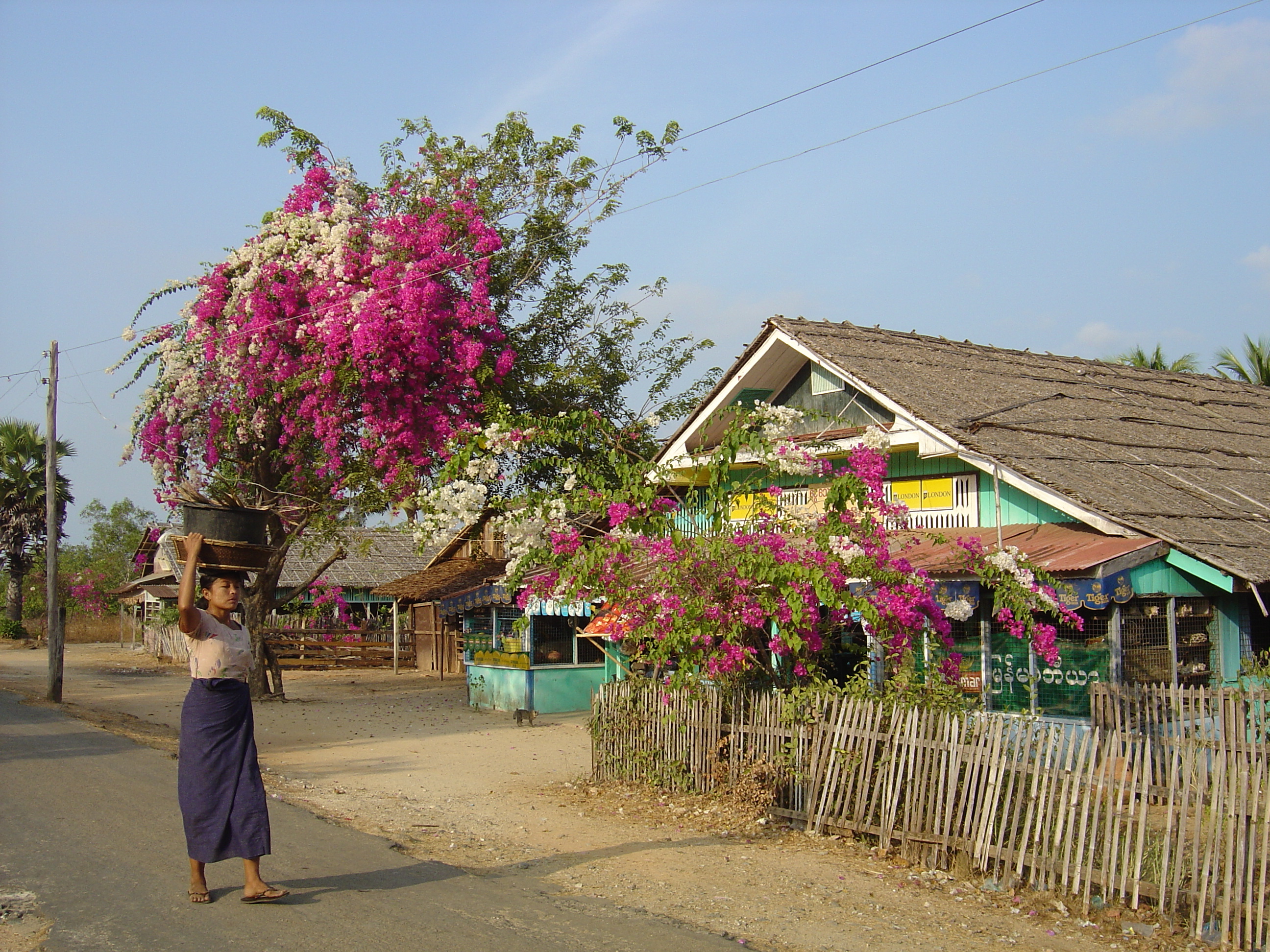 照片 缅甸(Myanmar) 茂马干海滩(Maungmagan beach) 2005-01 42