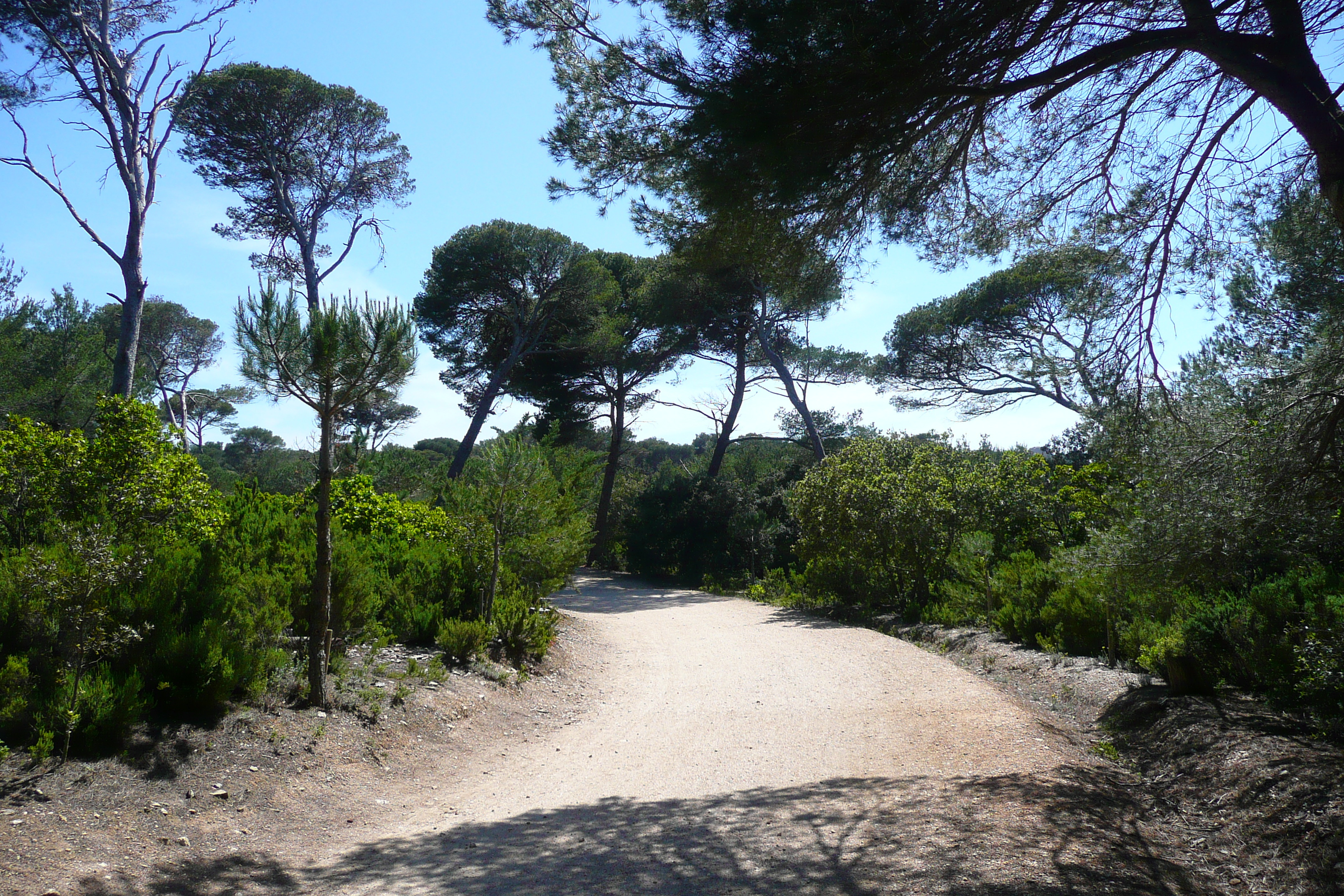 照片 法国(France) 波克罗勒岛(Porquerolles Island) 库尔塔德平原(Plaine de la courtade) 2008-05 1