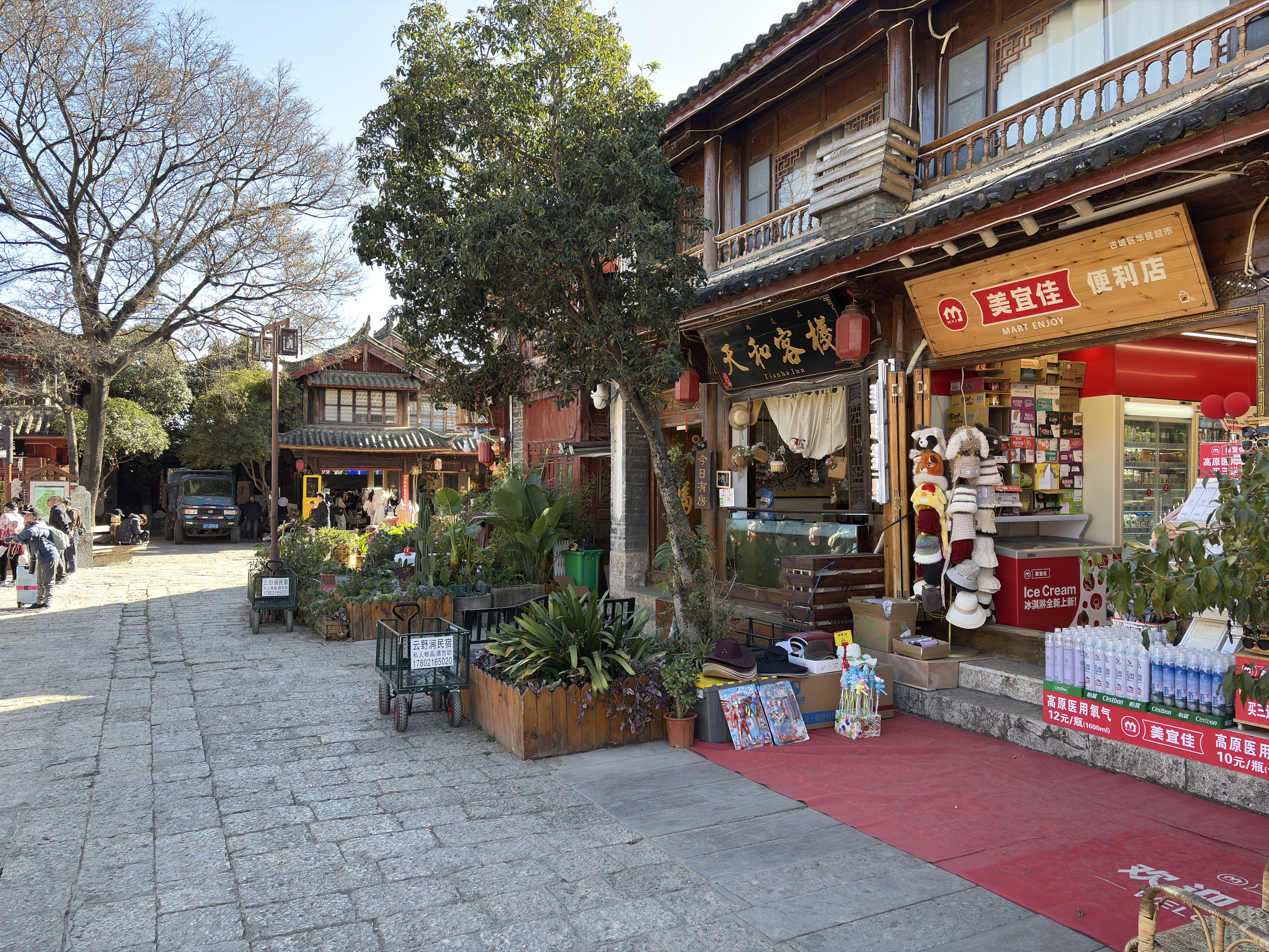 照片 中国(China) 丽江(Lijiang) 2026-01 670