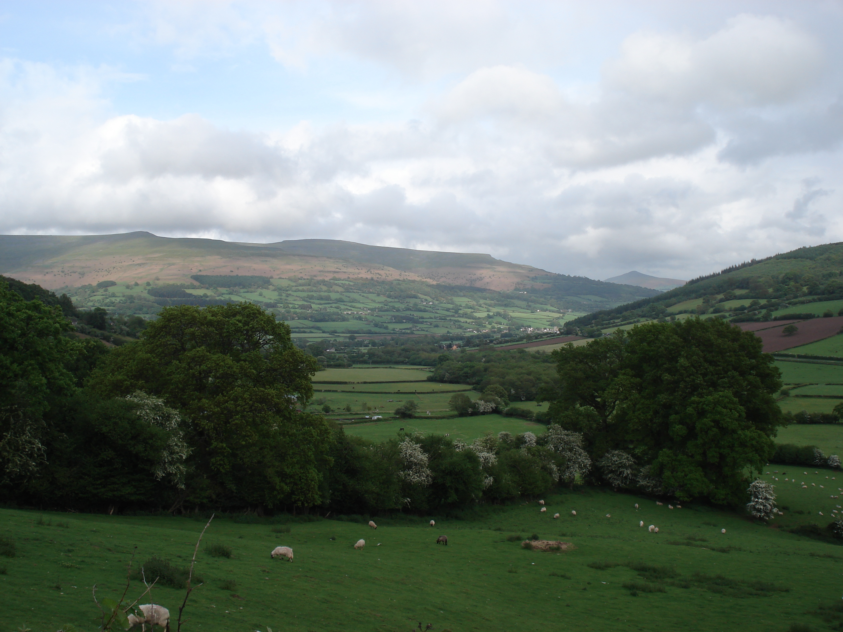 照片 英国(United Kingdom) 布雷肯比肯斯国家公园(Brecon Beacons National Park) 2006-05 65