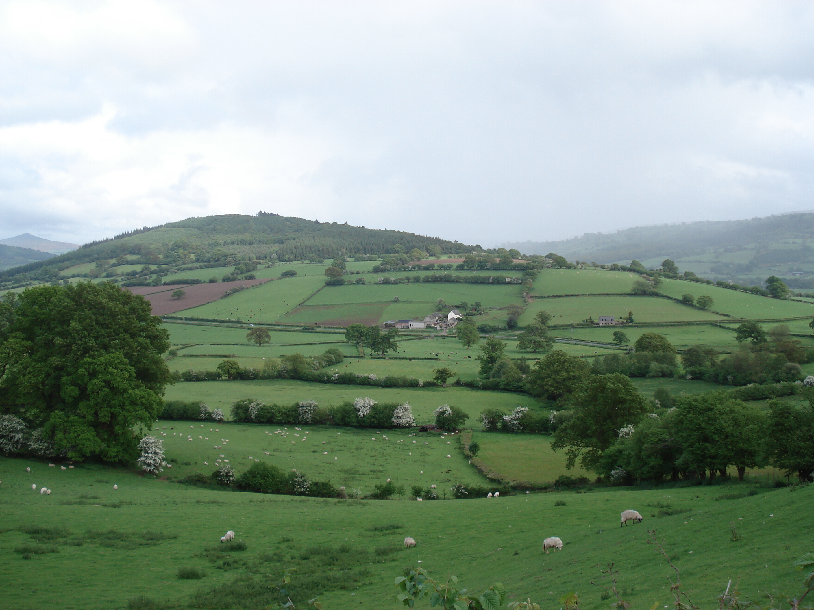 照片 英国(United Kingdom) 布雷肯比肯斯国家公园(Brecon Beacons National Park) 2006-05 72