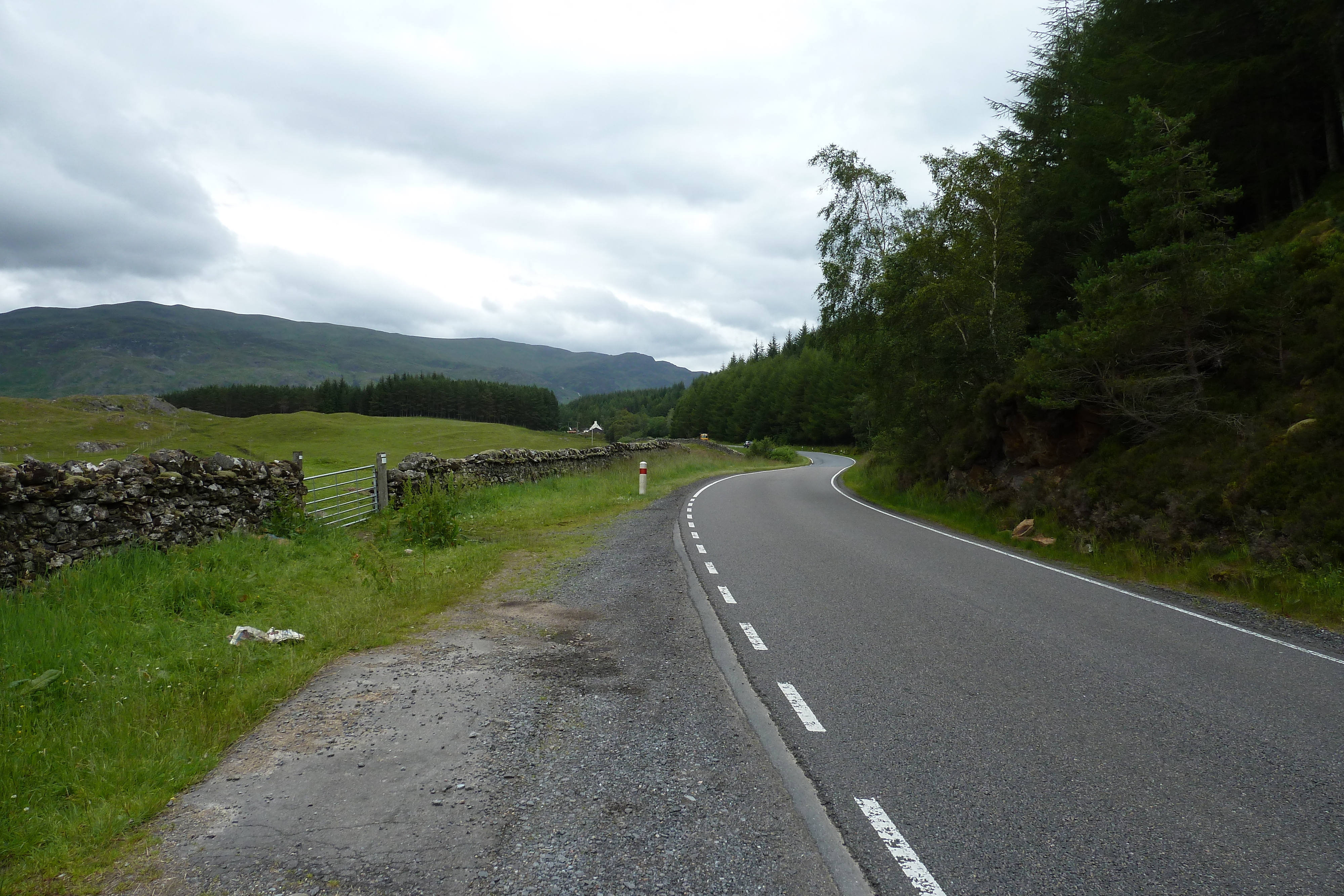 照片 英国(United Kingdom) 苏格兰(Scotland) 阿维莫尔至拉甘湖公路(Aviemore to Loch Laggan road) 2011-07 16