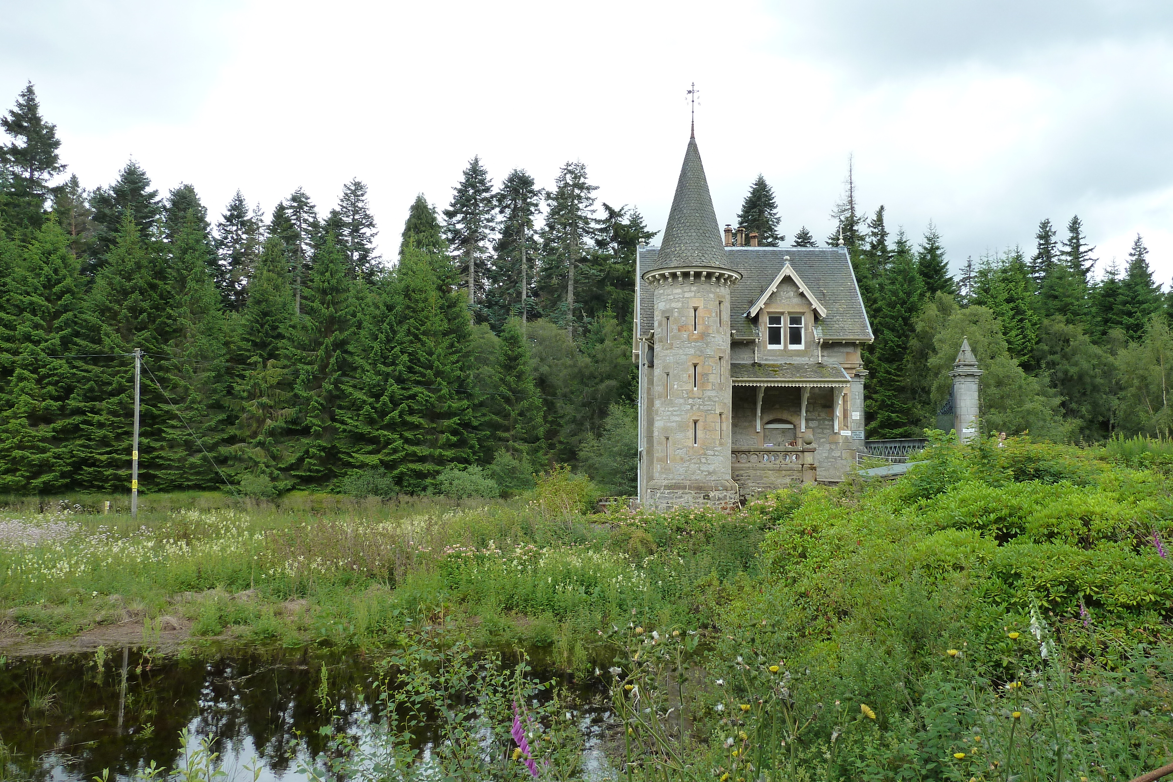 照片 英国(United Kingdom) 苏格兰(Scotland) 阿维莫尔至拉甘湖公路(Aviemore to Loch Laggan road) 2011-07 12