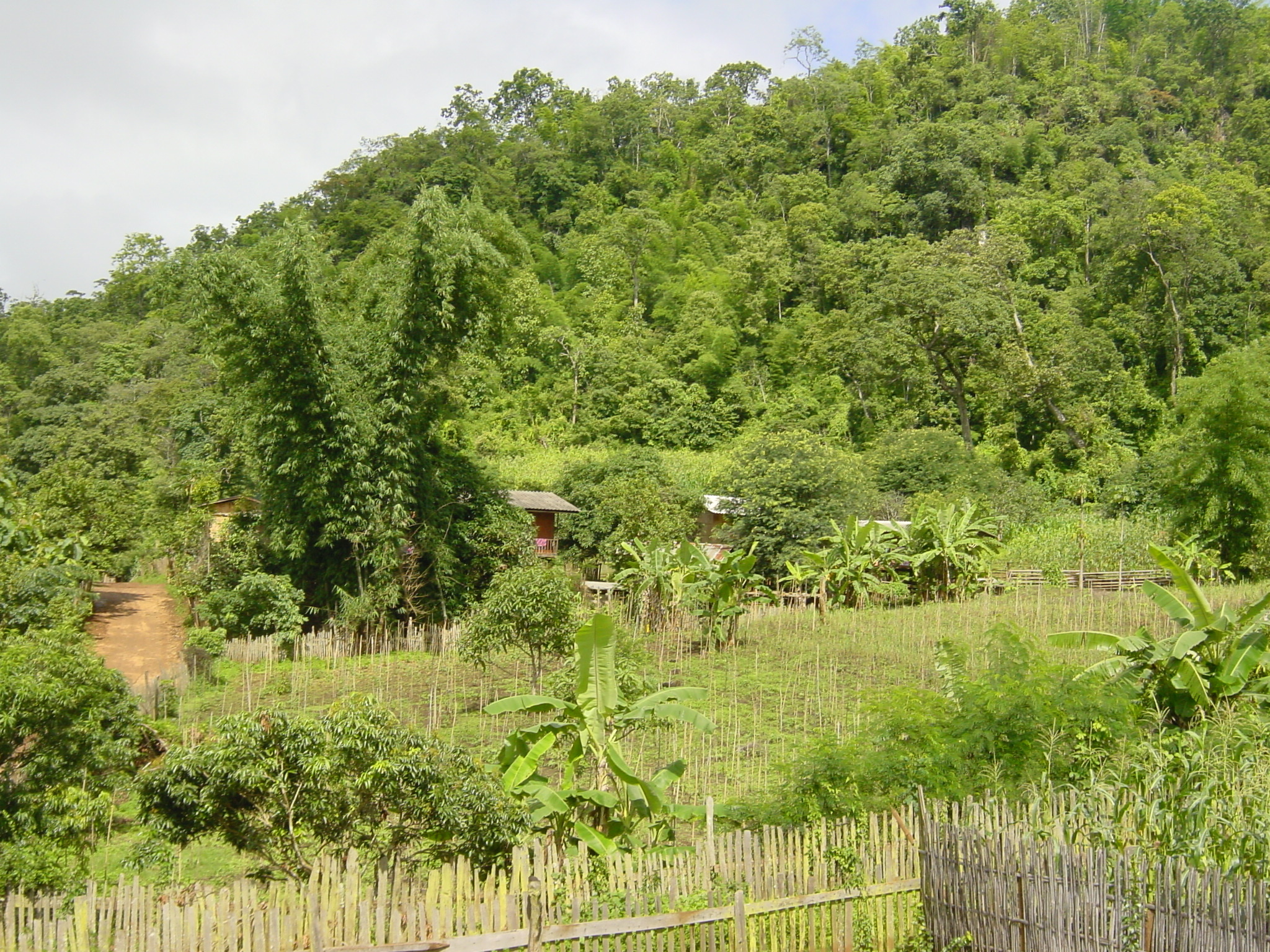 照片 泰国(Thailand) 夜丰颂(Mae Hong Son) 2003-07 71