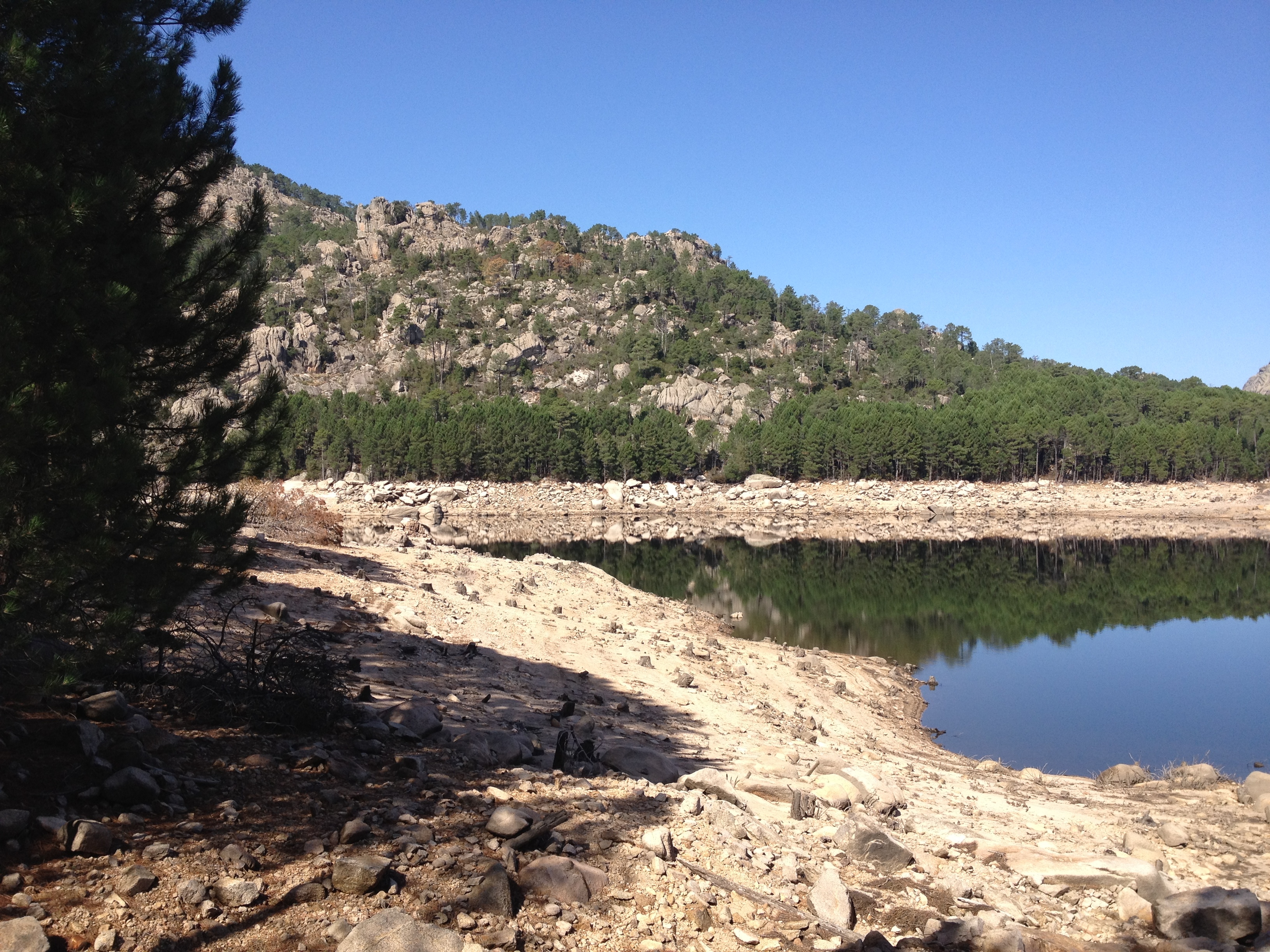 照片 法国(France) 科西嘉岛(Corsica) 奥斯佩达莱森林(L'ospedale Forest) 2012-09 44