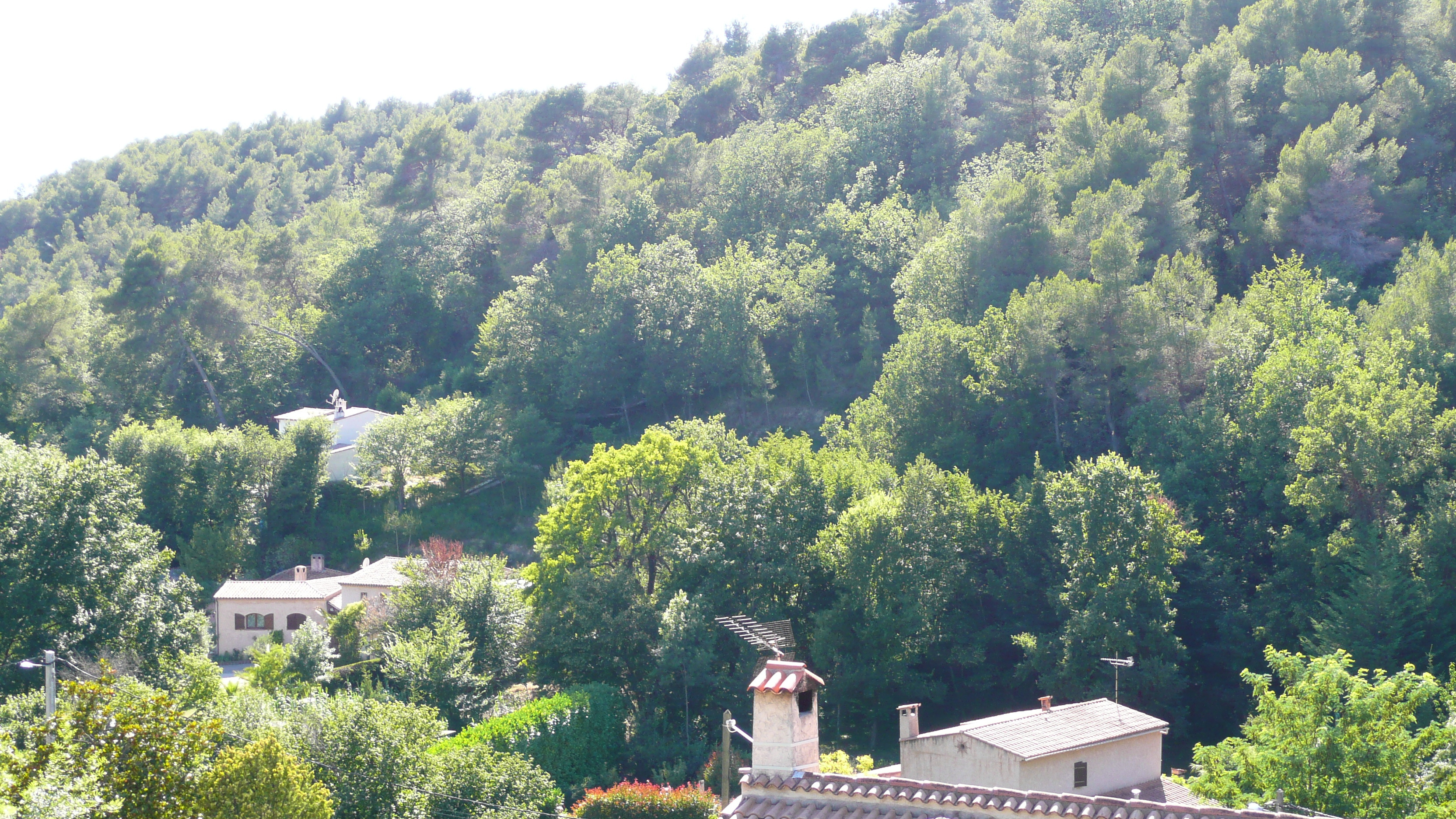 照片 法国(France) 拉戈德(La Gaude) 2007-07 39