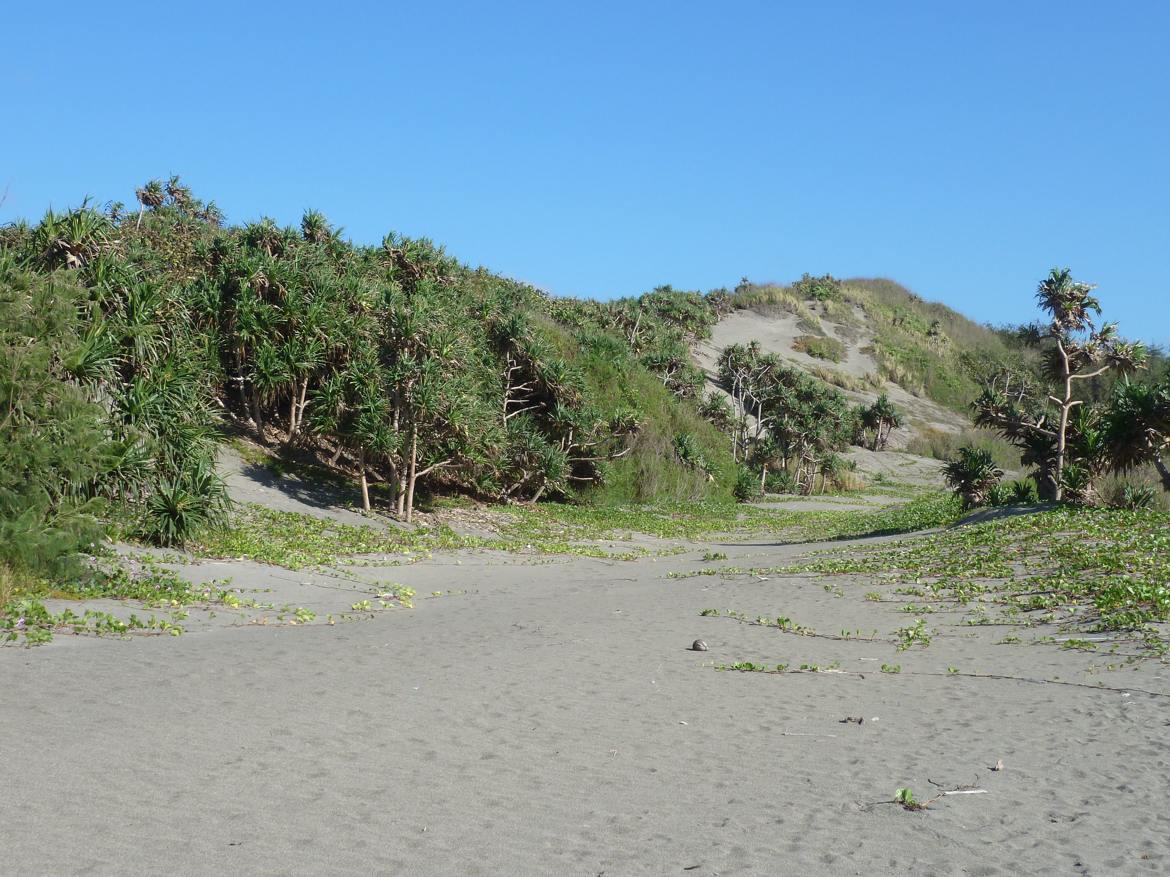 照片 斐济(Fiji) 辛加东卡沙丘国家公园(Sigatoka sand dunes national park) 2010-05 36