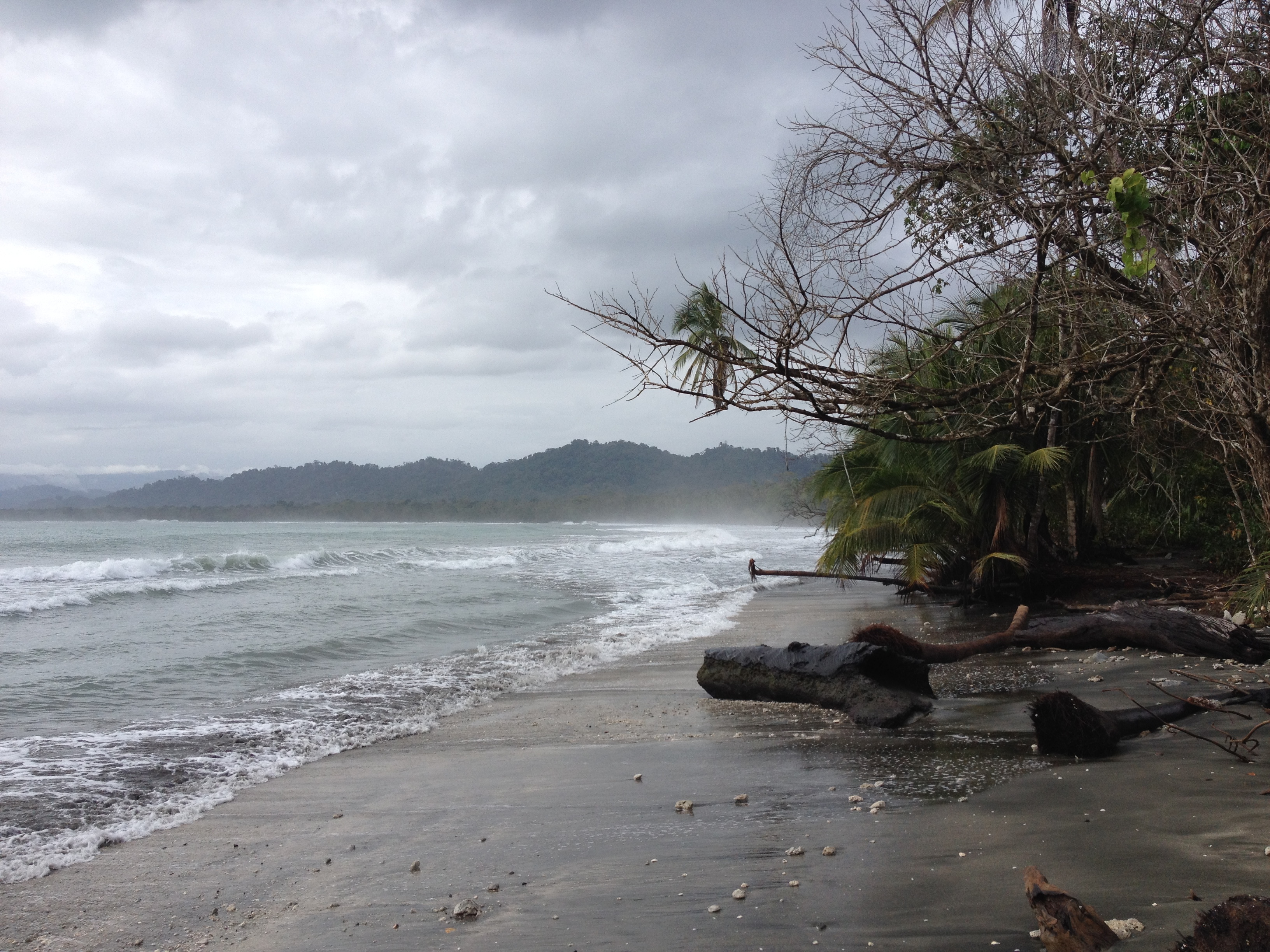 照片 哥斯达黎加(Costa Rica) 卡维塔(Cahuita) 2015-03 125