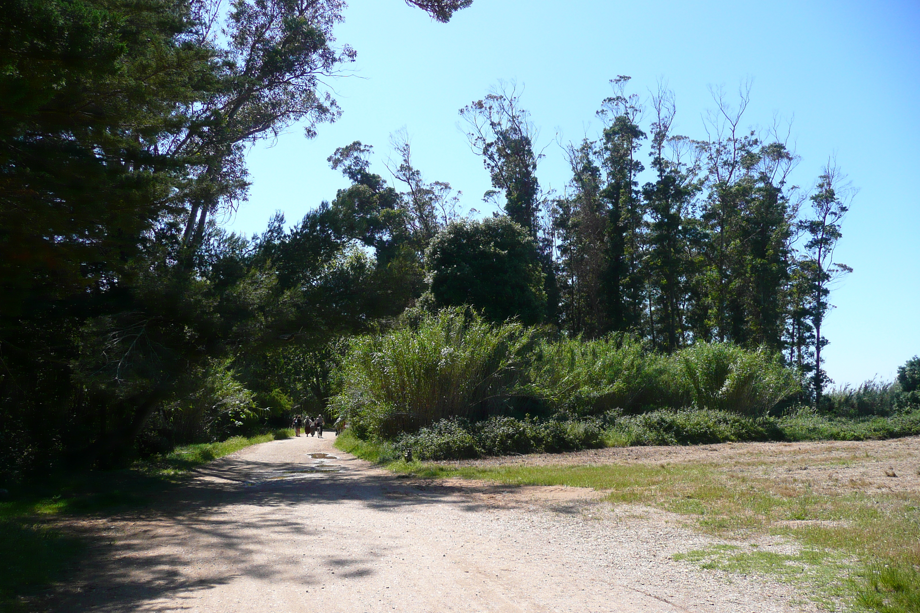 照片 法国(France) 波克罗勒岛(Porquerolles Island) 库尔塔德平原(Plaine de la courtade) 2008-05 5