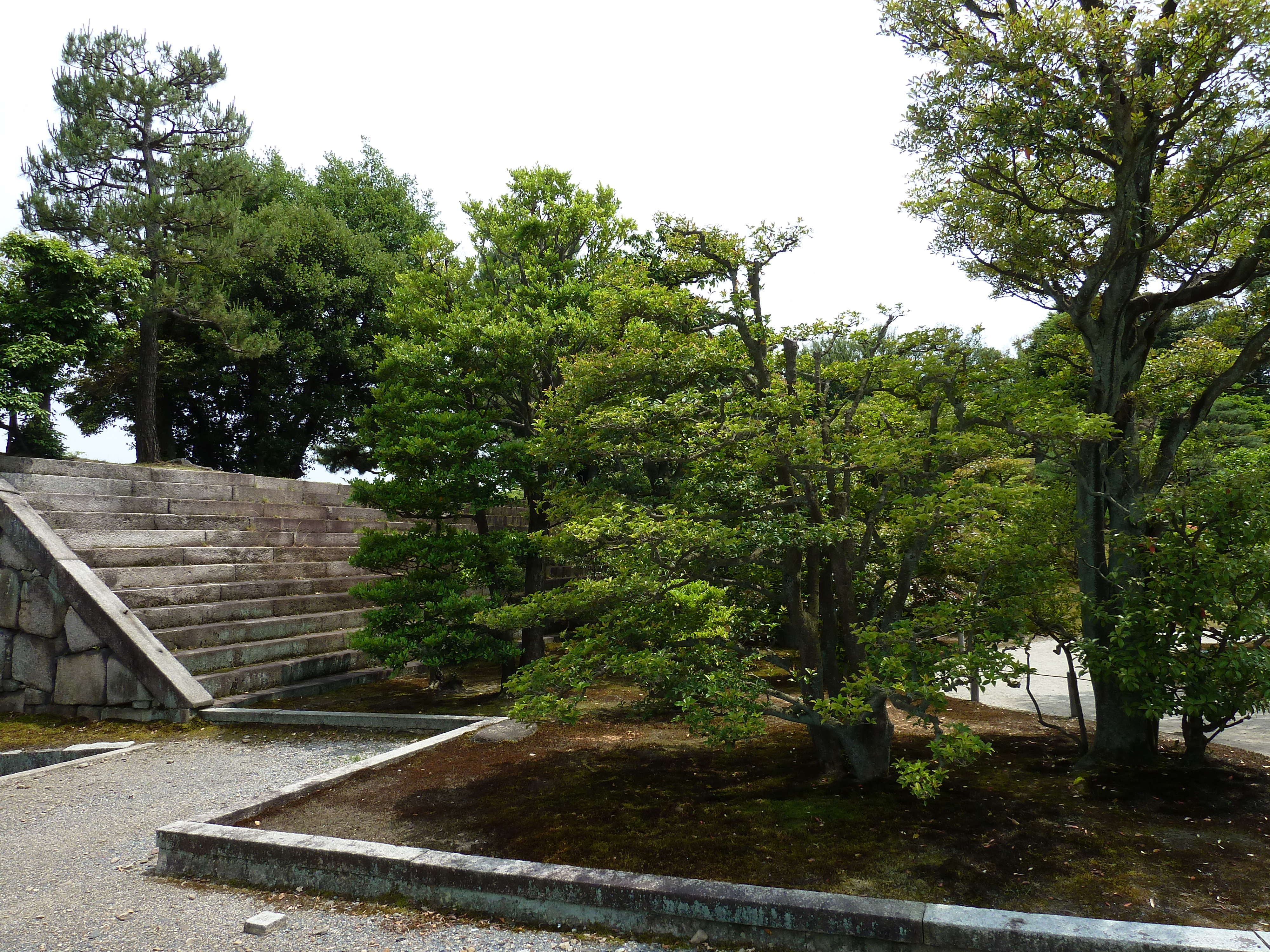 照片 日本(Japan) 京都(Kyoto) 二条城(Nijo Castle) 本丸御殿(Honmaru Palace) 2010-06 38