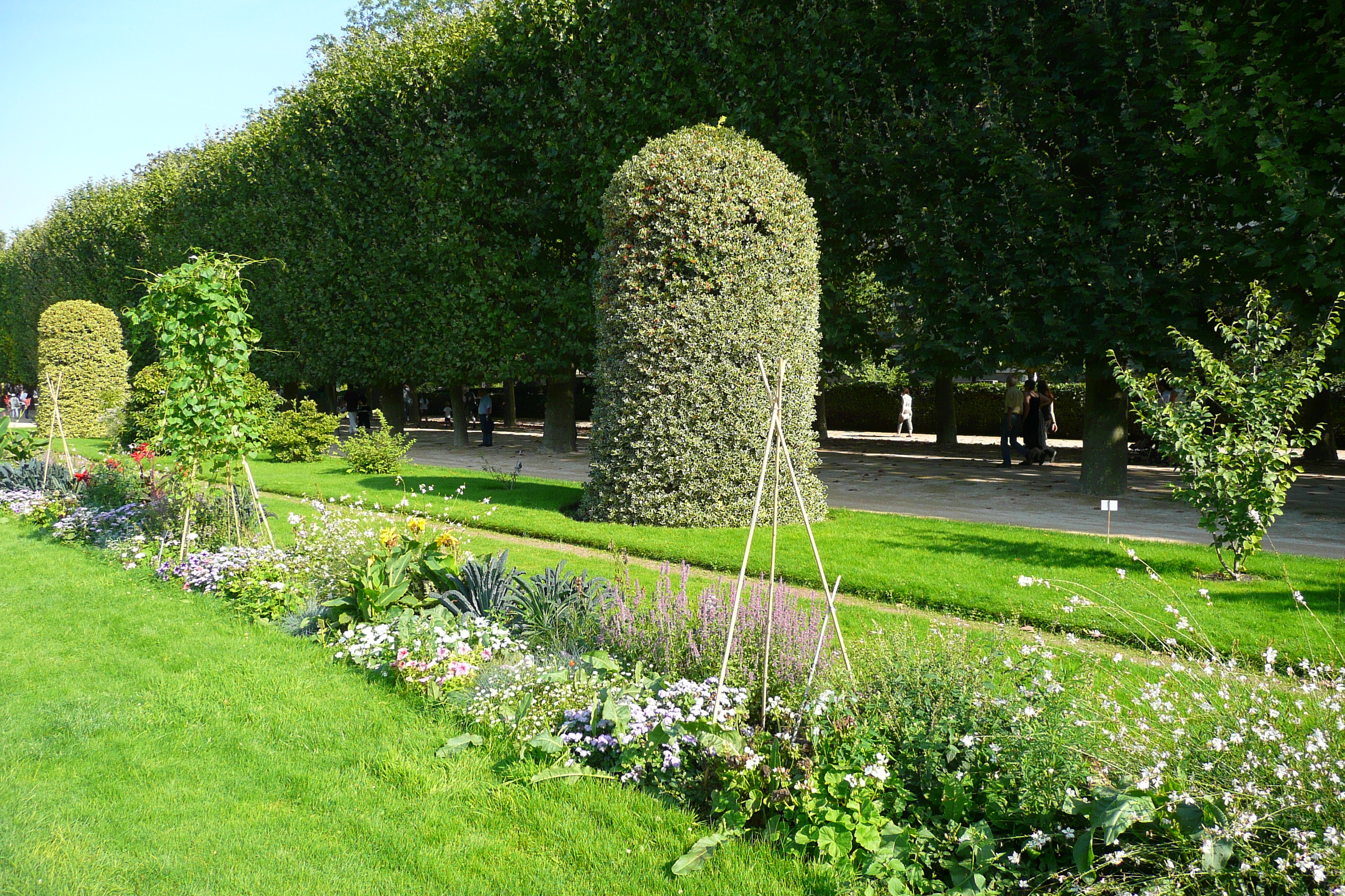 照片 法国(France) 巴黎(Paris) 巴黎植物园(Jardin des Plantes) 2007-08 48
