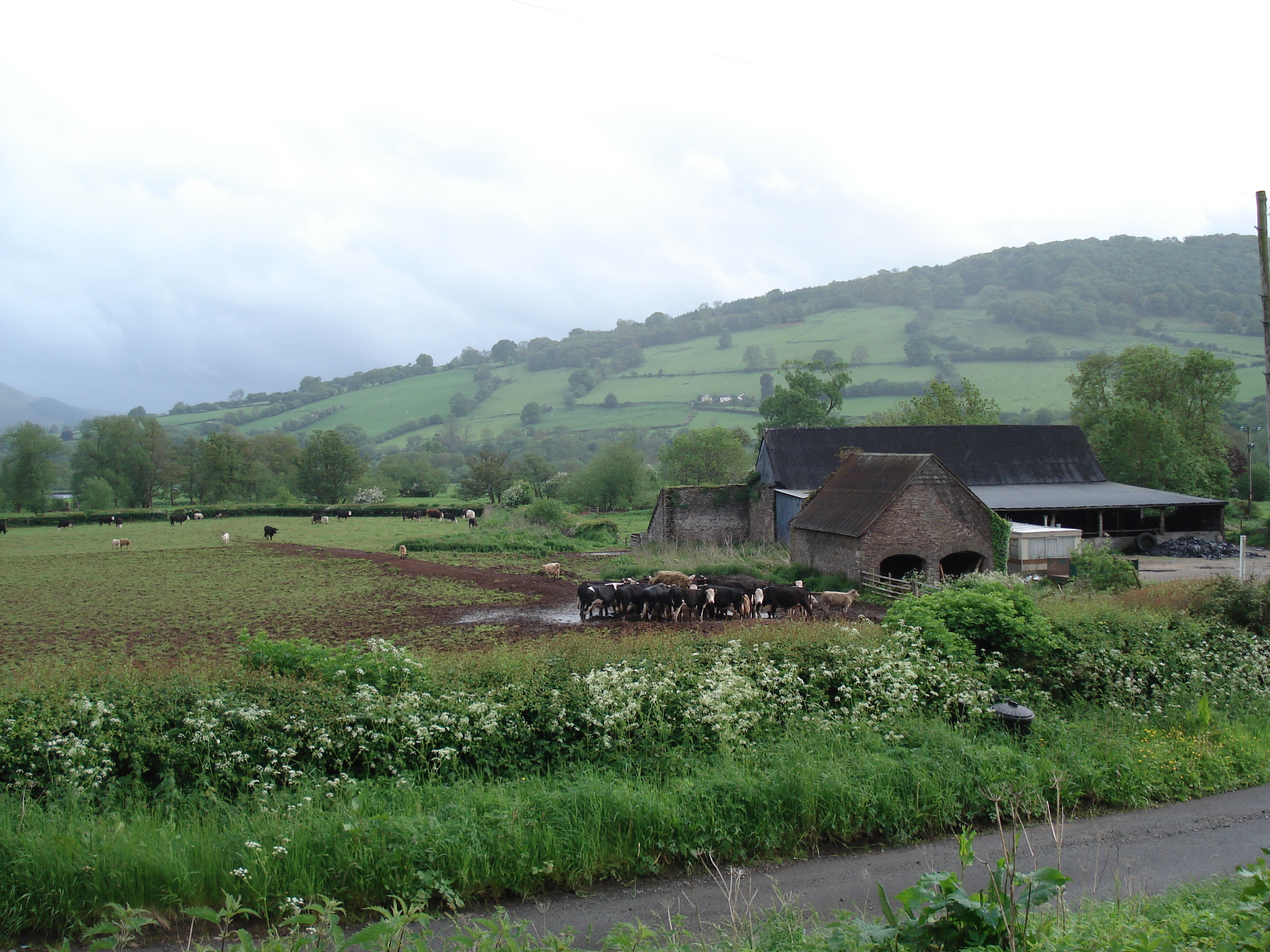 照片 英国(United Kingdom) 布雷肯比肯斯国家公园(Brecon Beacons National Park) 2006-05 117