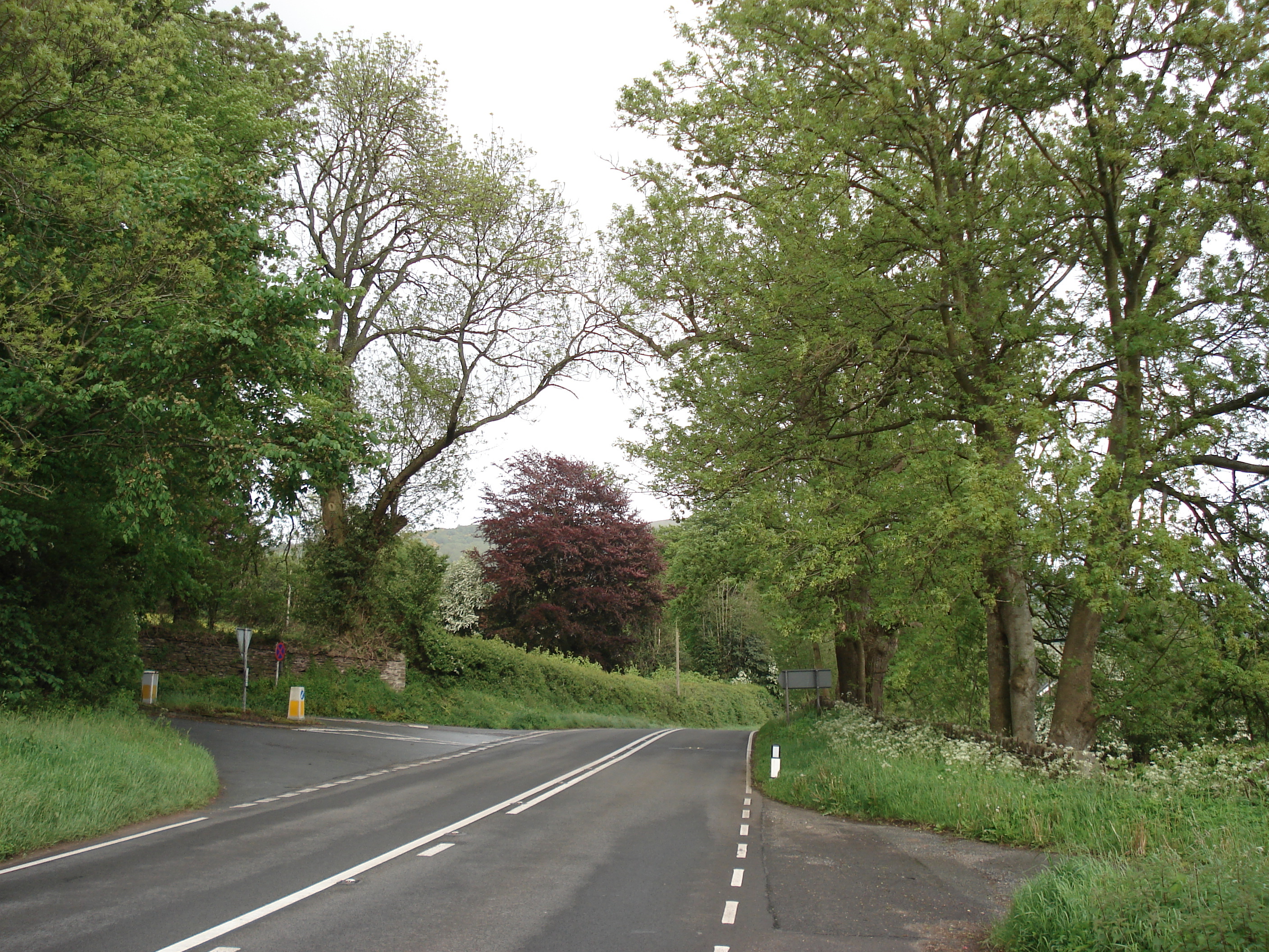 照片 英国(United Kingdom) 布雷肯比肯斯国家公园(Brecon Beacons National Park) 2006-05 118